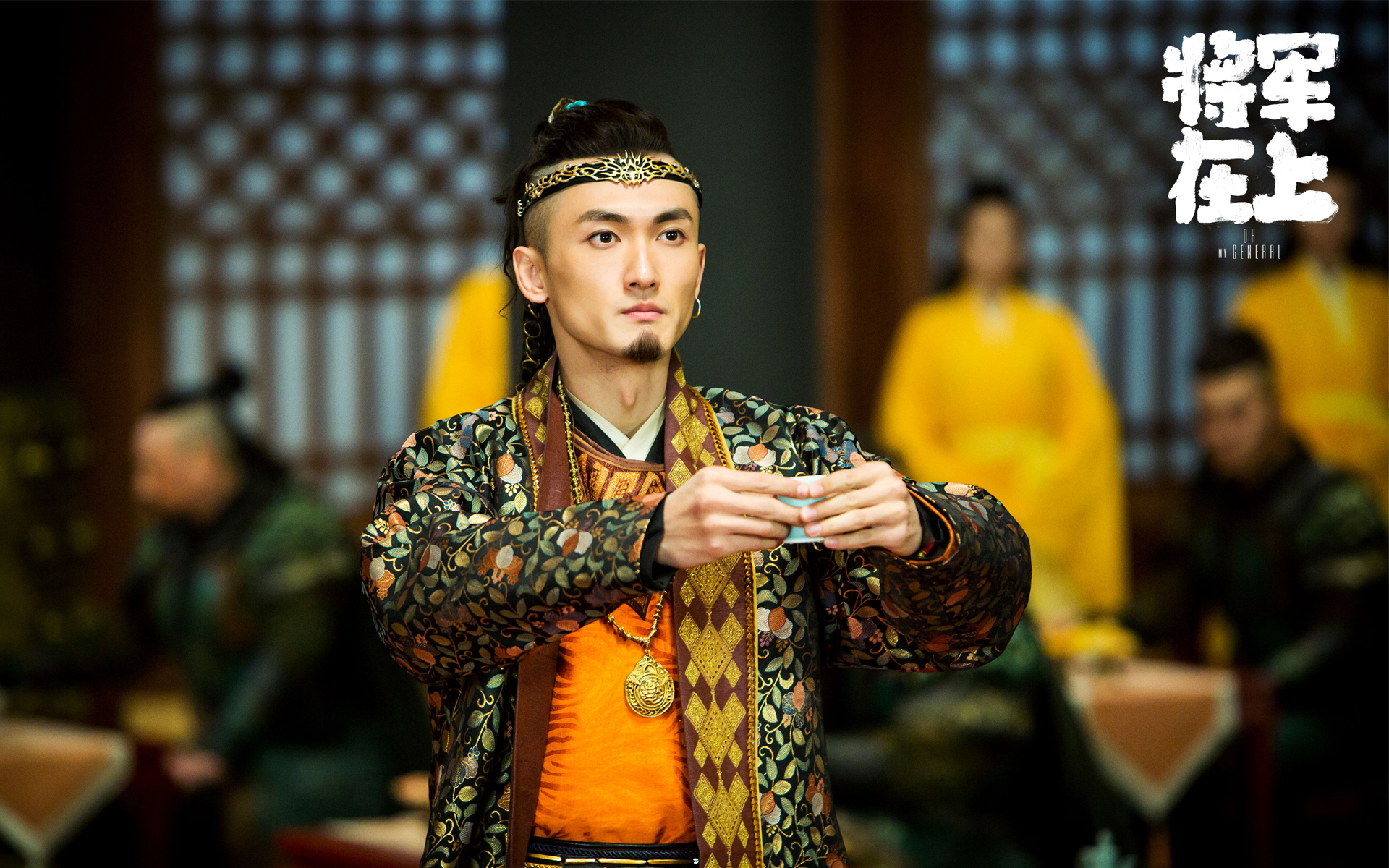 影视 电视剧 将军在上