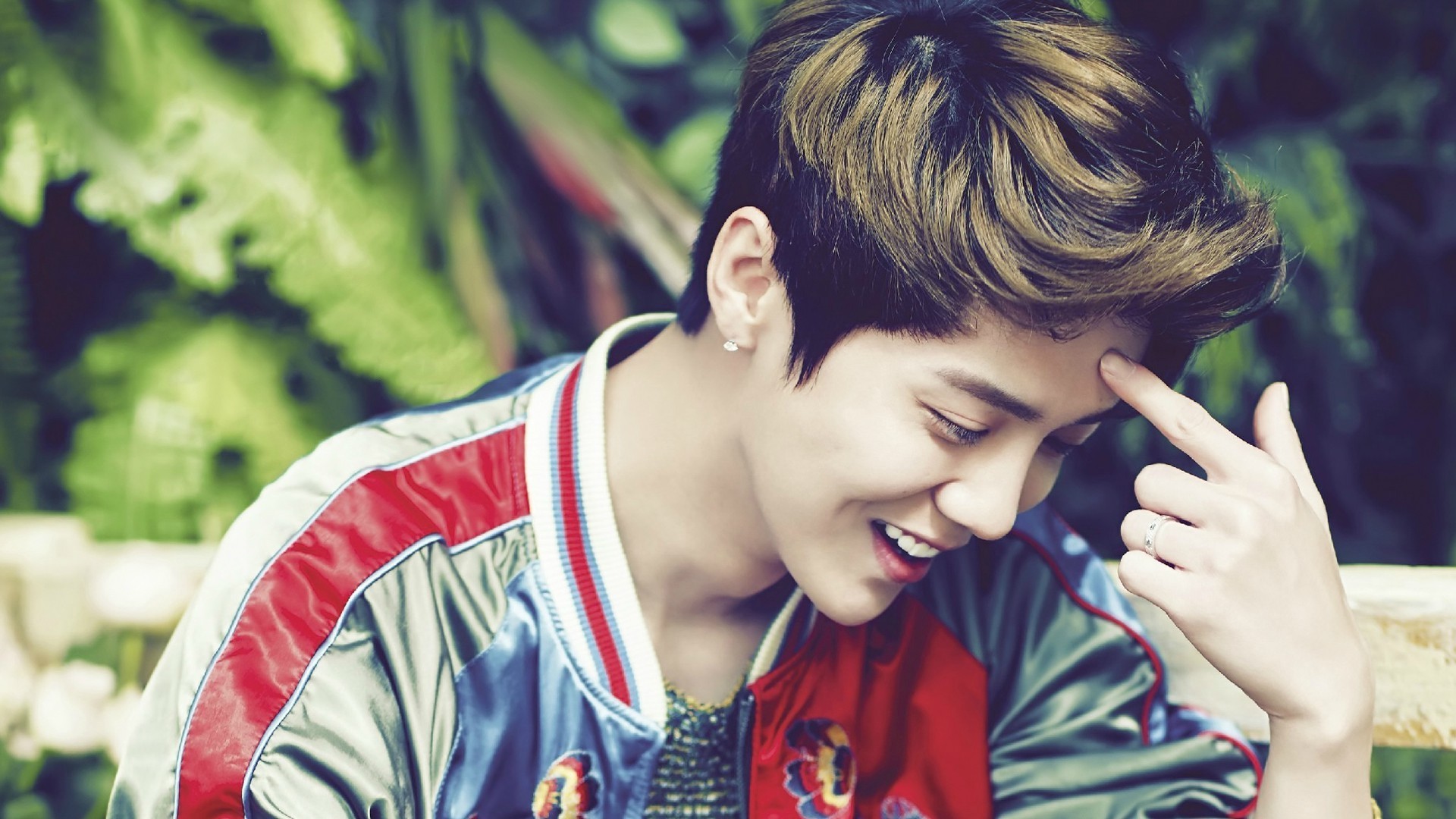 鹿晗 小鹿 傻狍子 明星