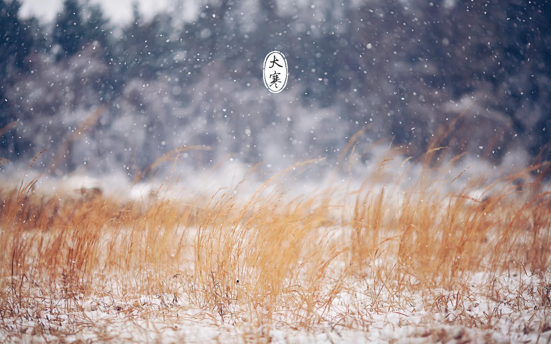节日美图 大寒 寒冷 二十四节气 宽屏