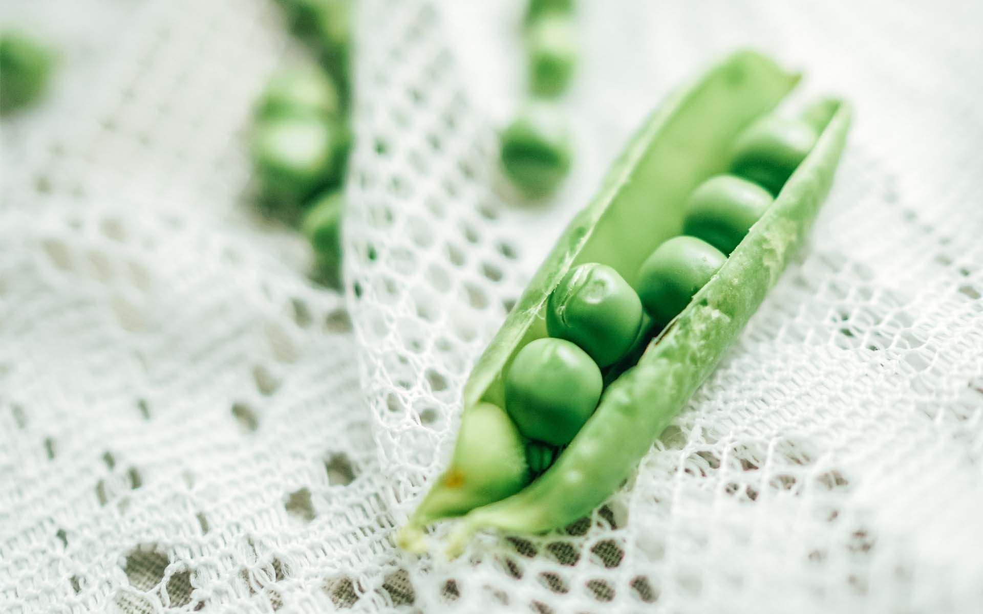 小清新 静物写真