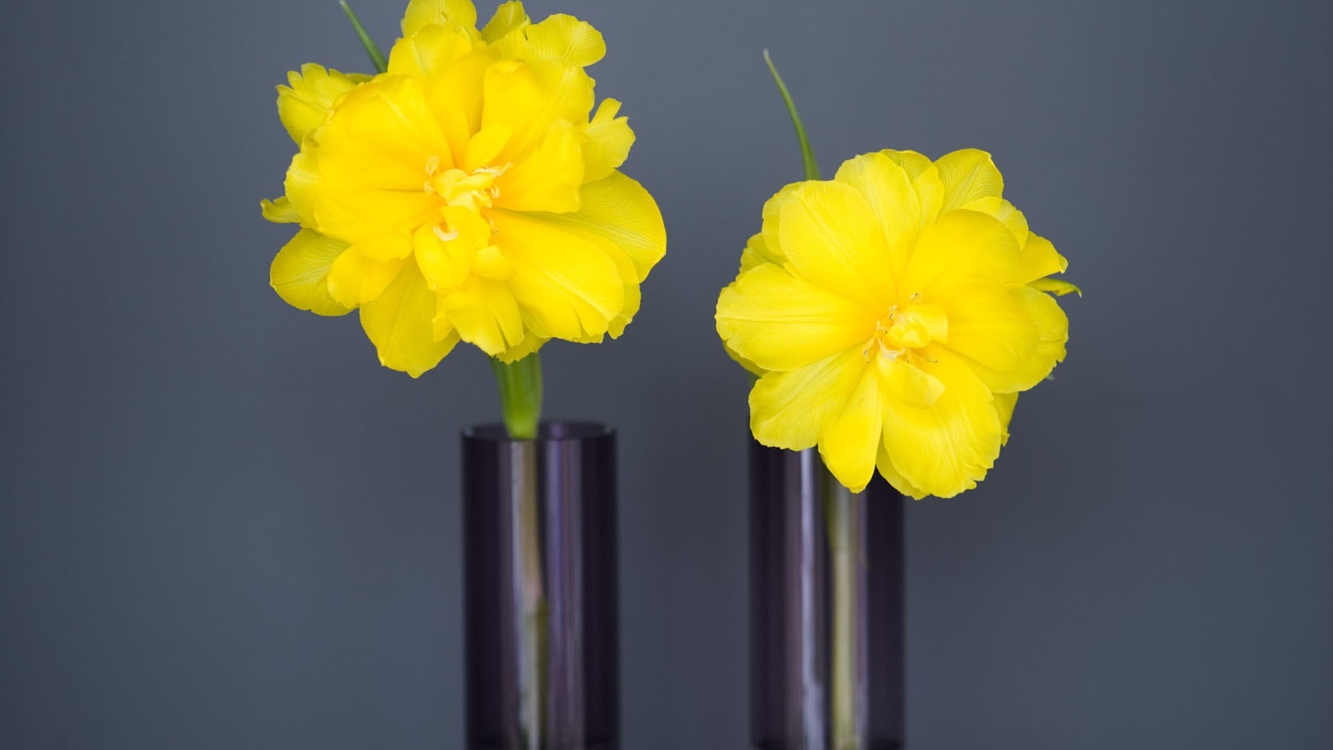 清新淡雅 花瓶 小黄花