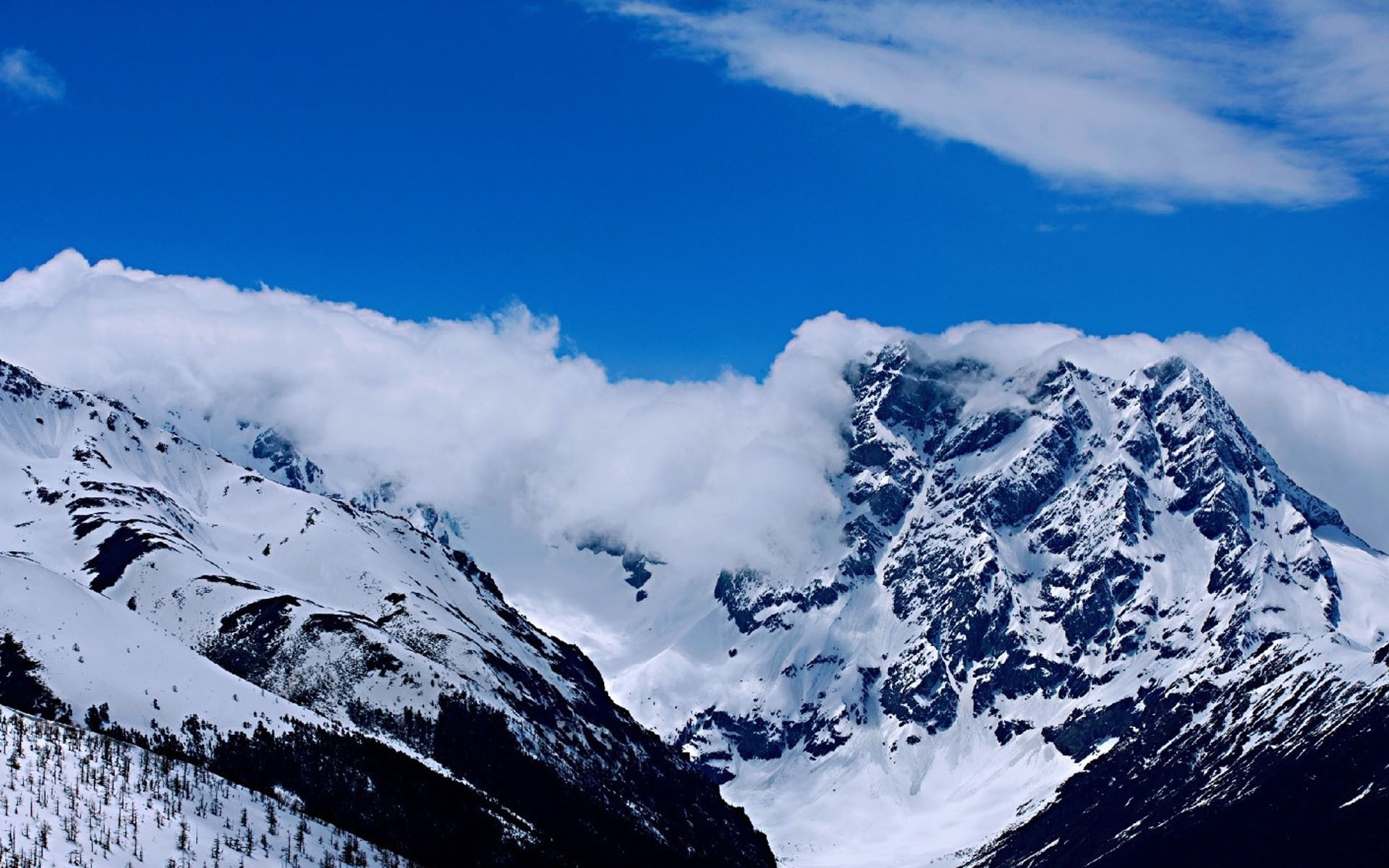 冰天雪地  云南白马雪山风景