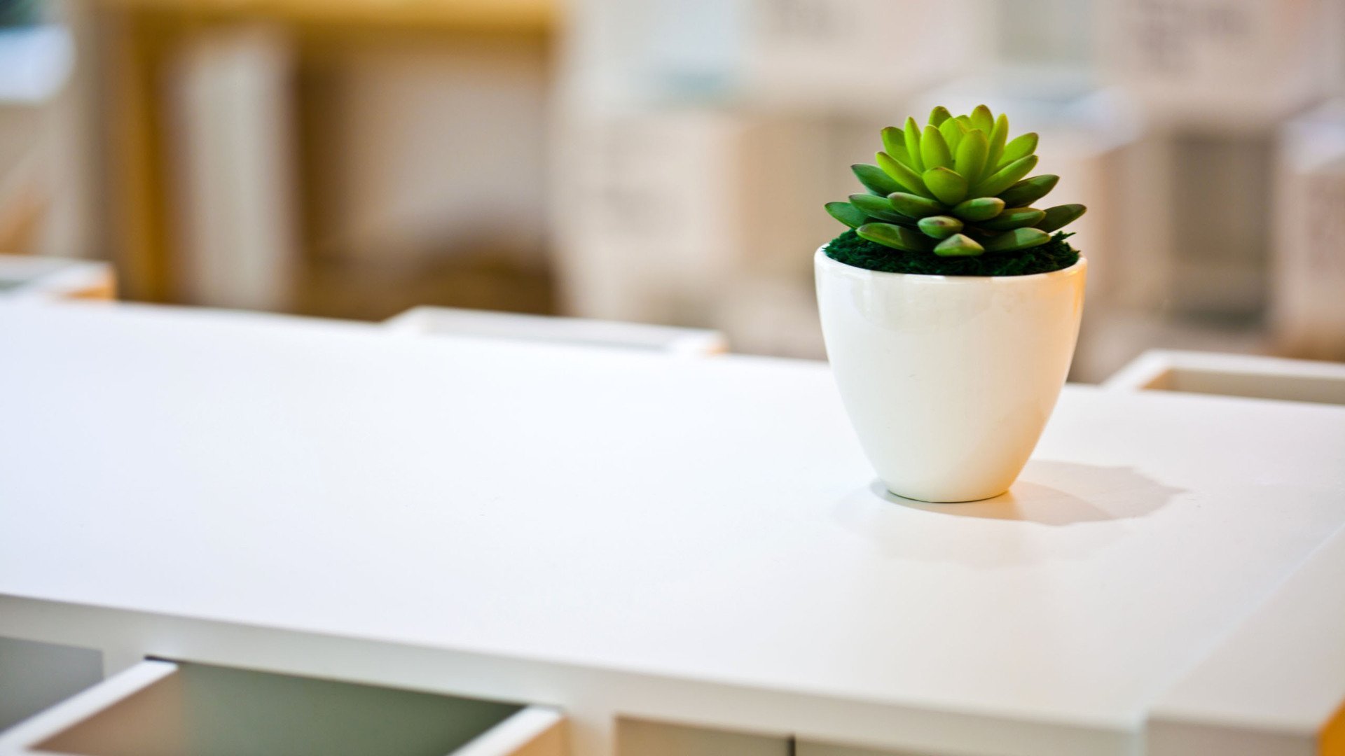 小清新 萌肉 简单 可爱