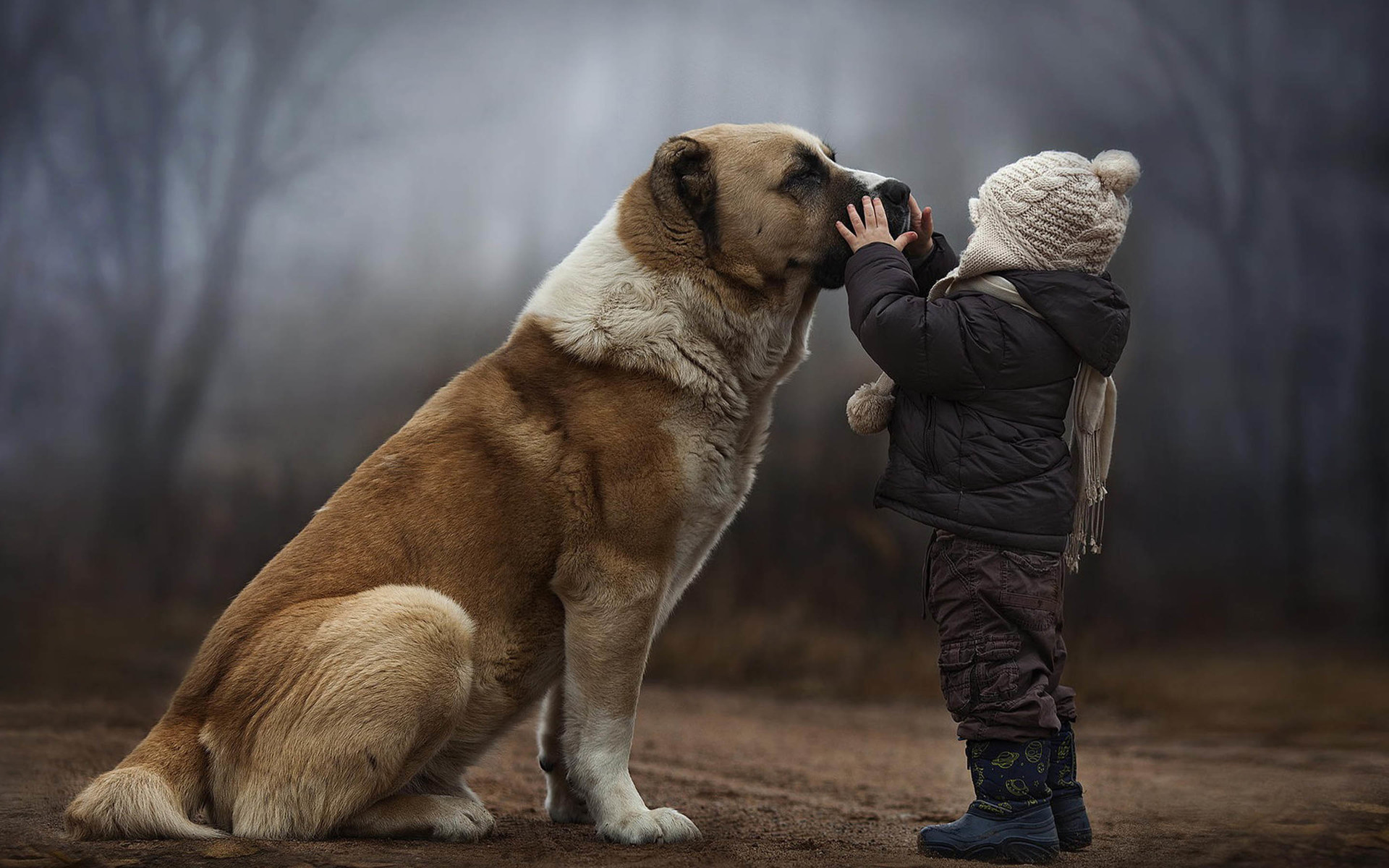 baby秀 小孩 儿童