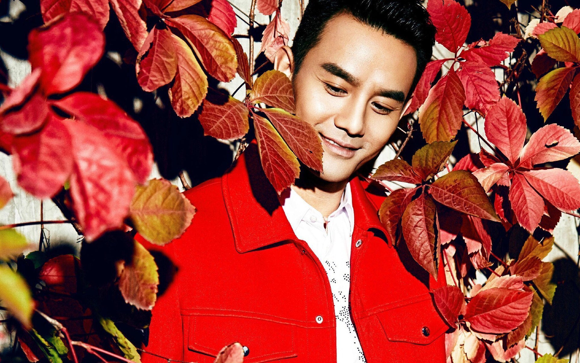 王凯 帅哥 明星 宽屏 小鲜肉