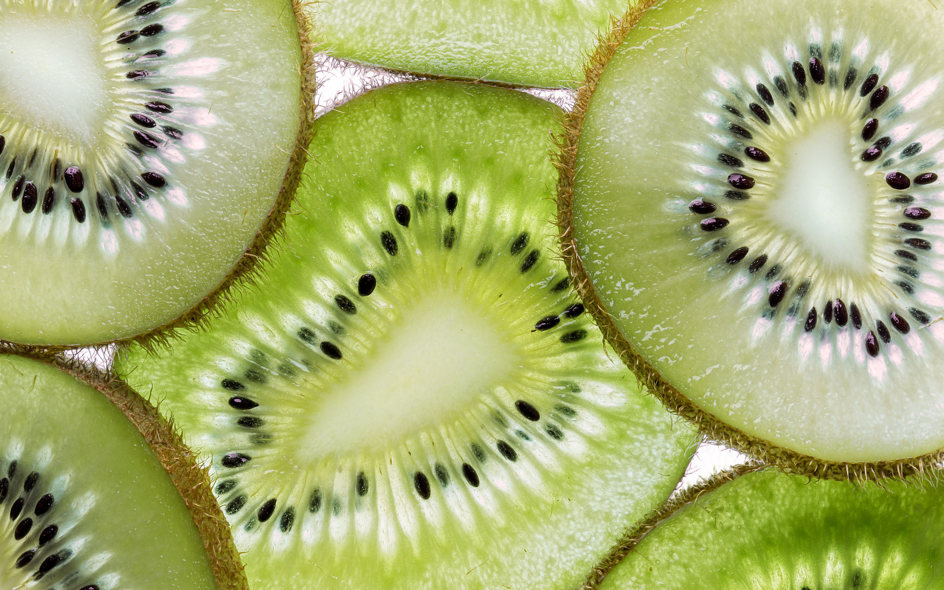 动感水果 猕猴桃