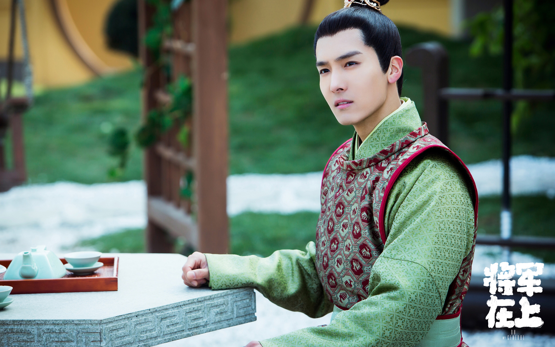 影视 电视剧 将军在上