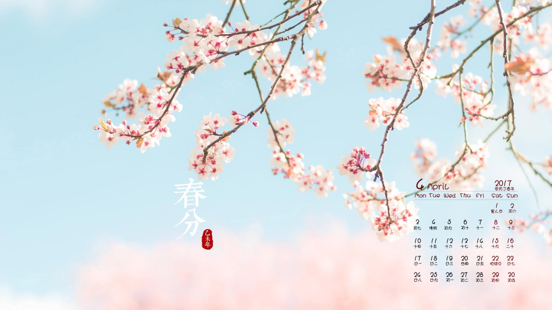 2017年4月 樱花