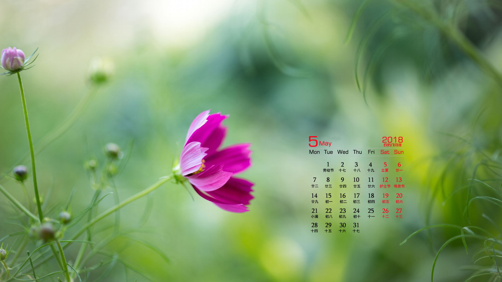 月历 2018年5月