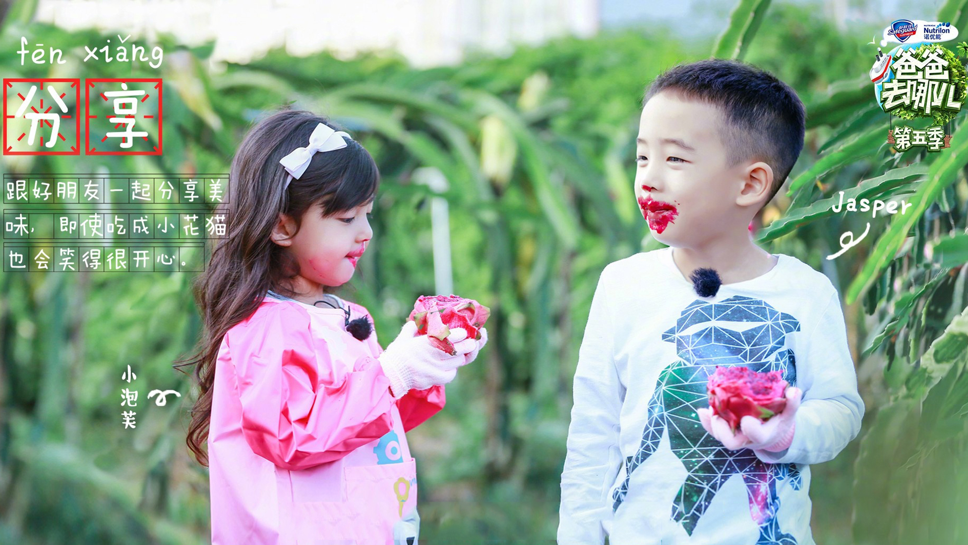 影视 综艺 爸爸去哪儿