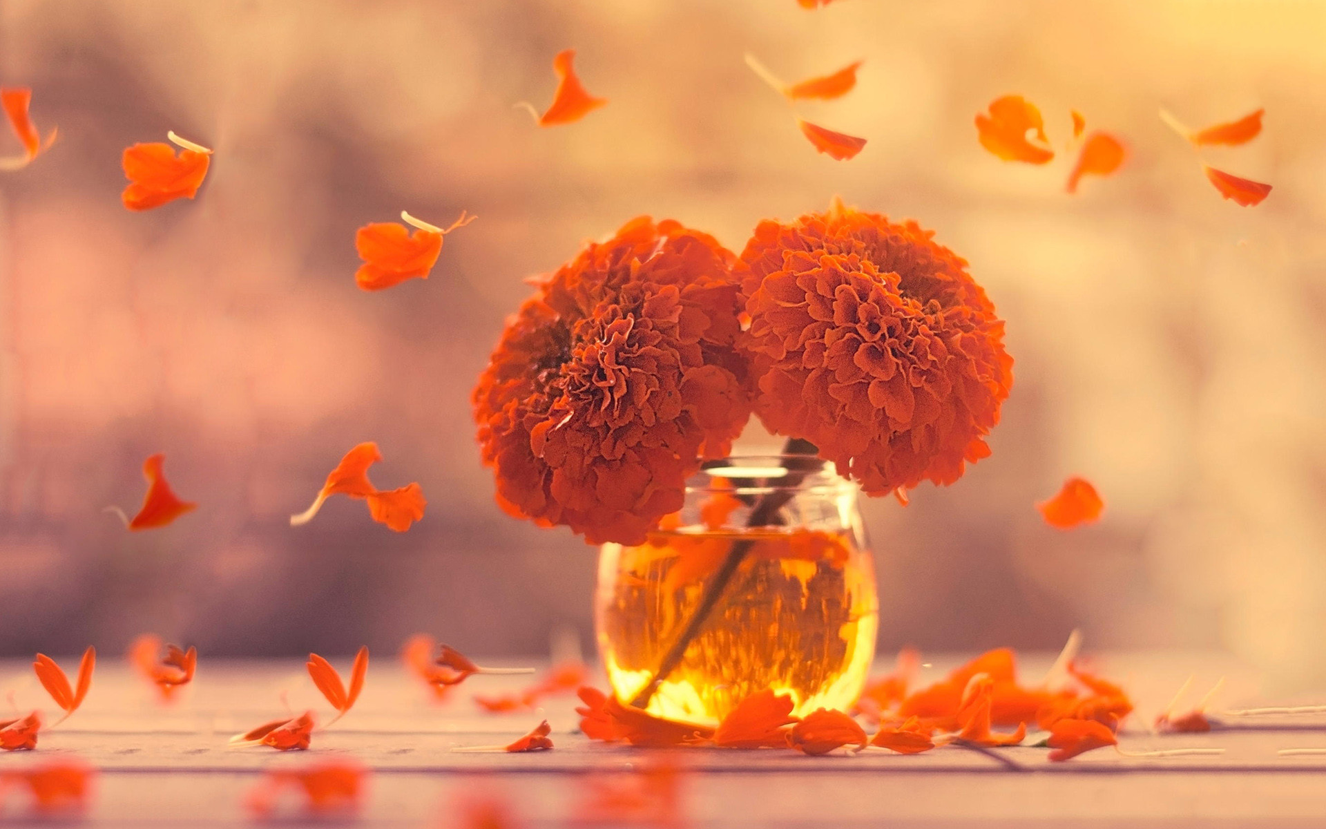 小清新 简单 温馨 可爱