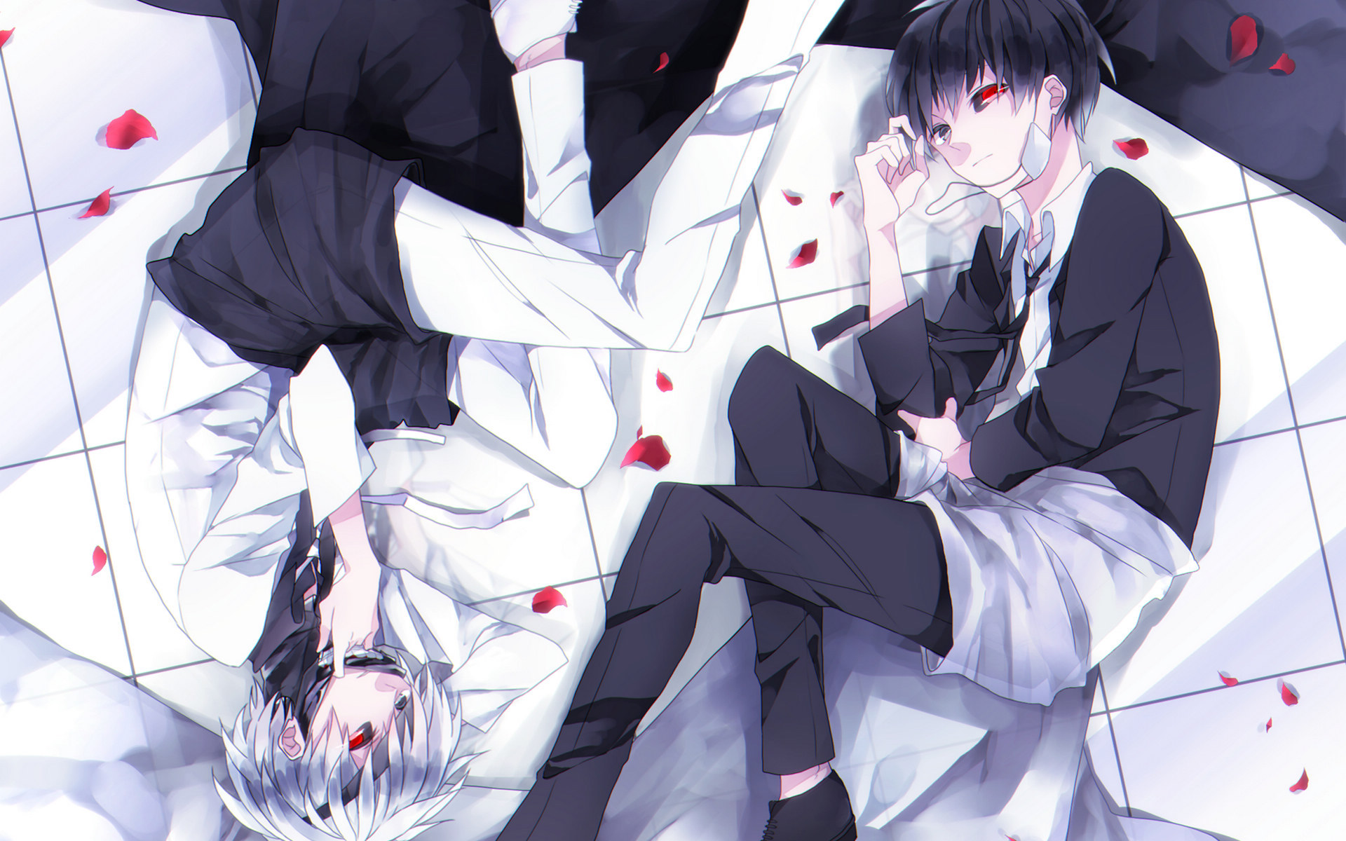 动漫   食尸鬼   金木研