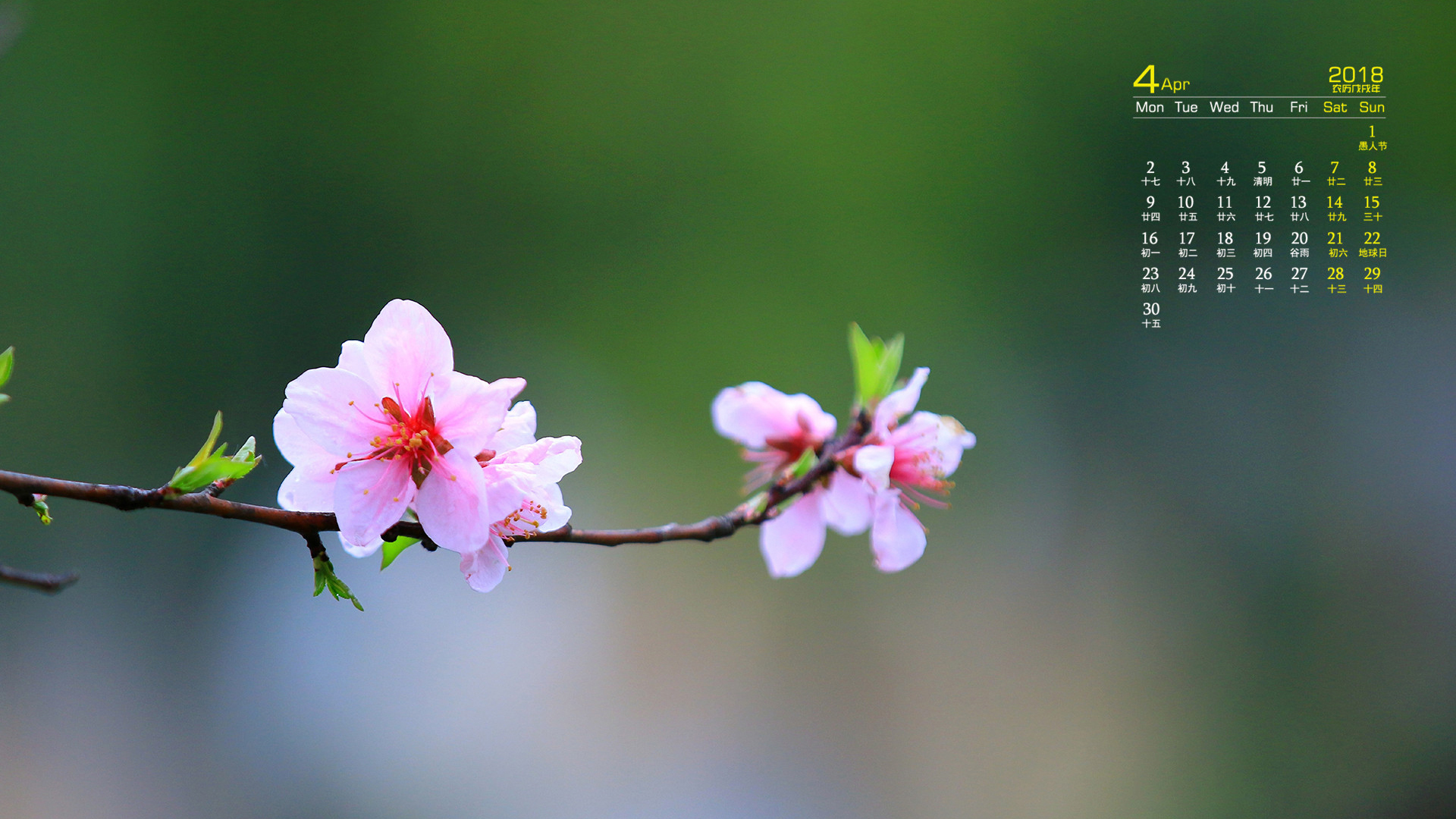 月历 2018年4月