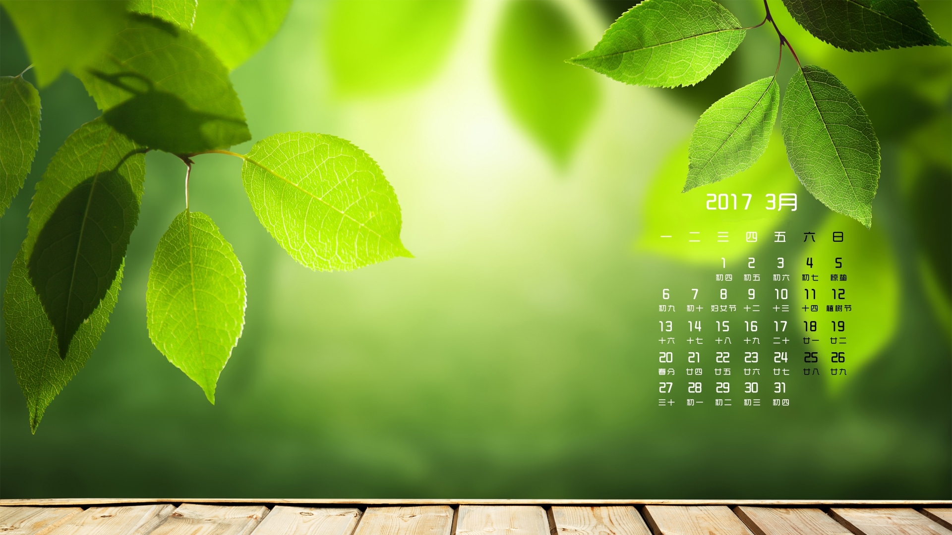 2017年3月 小清新 树叶