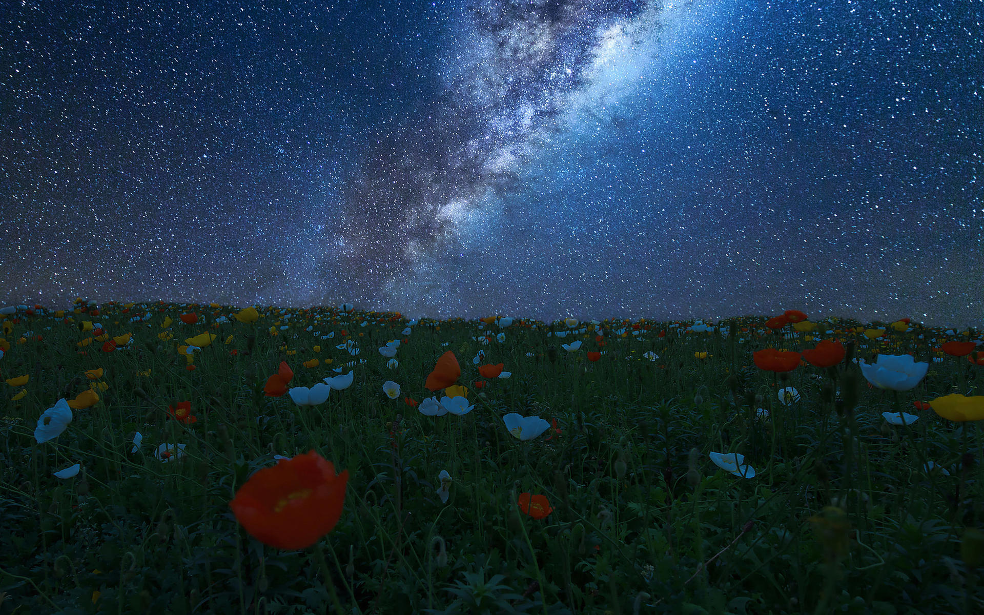 风景 星空 草地