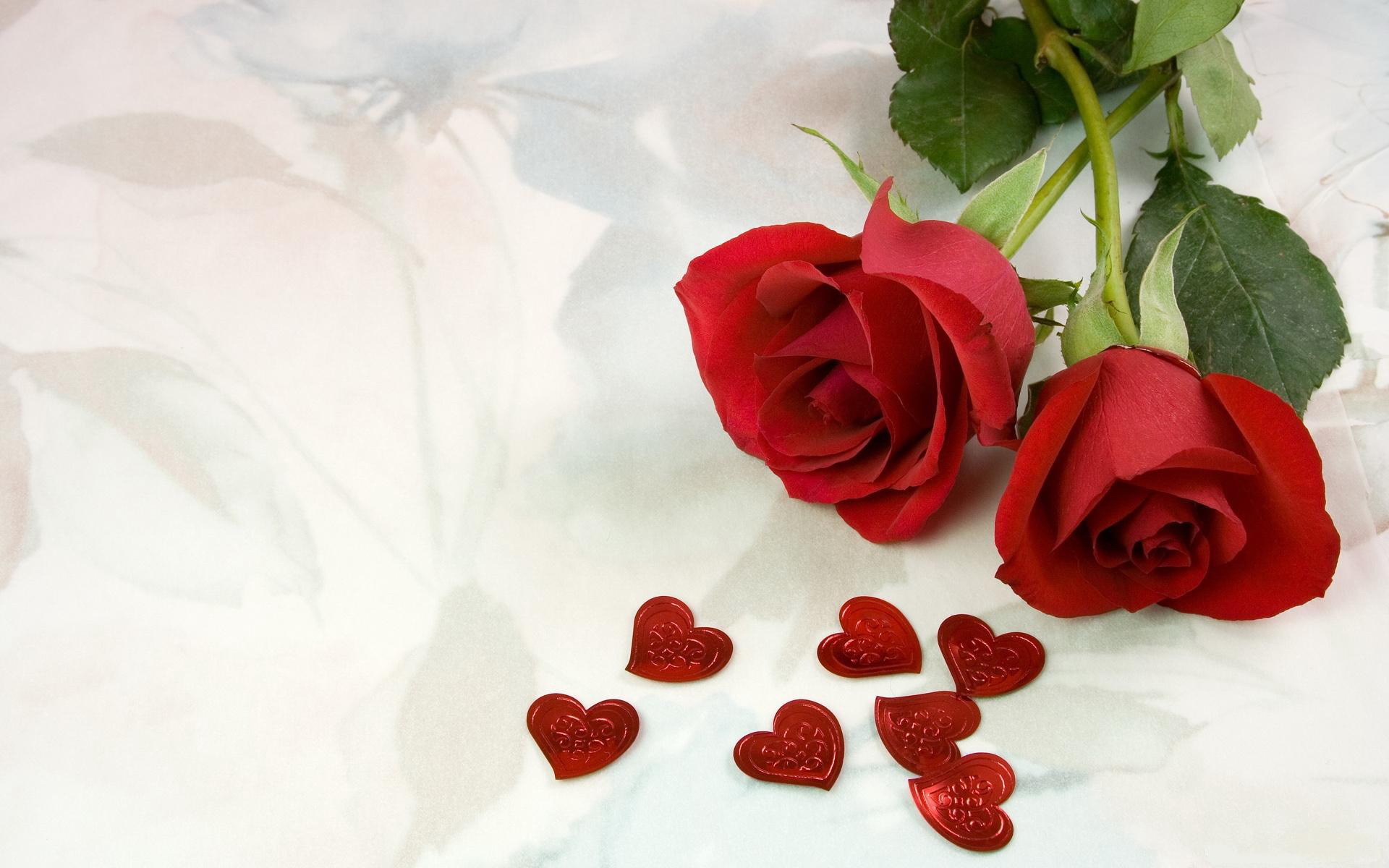 爱情 玫瑰花 爱情花 宽屏