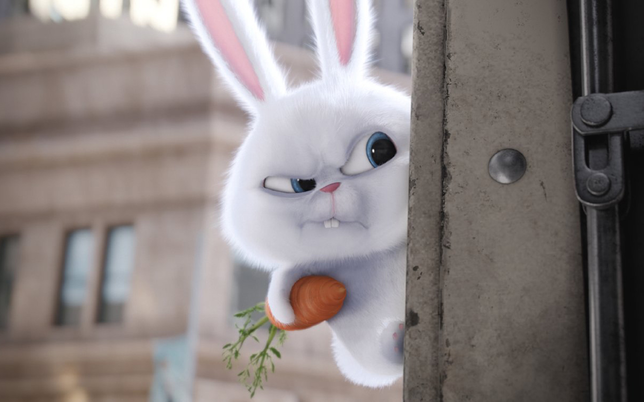 动漫 卡通 爱宠大机密 兔子