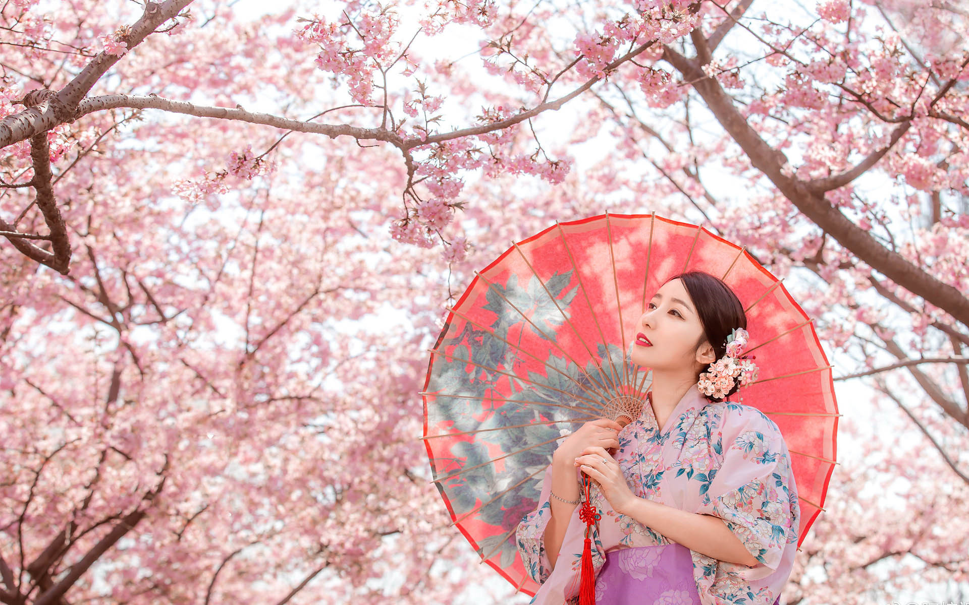 文艺古风 桃花 意境 唯美 和服