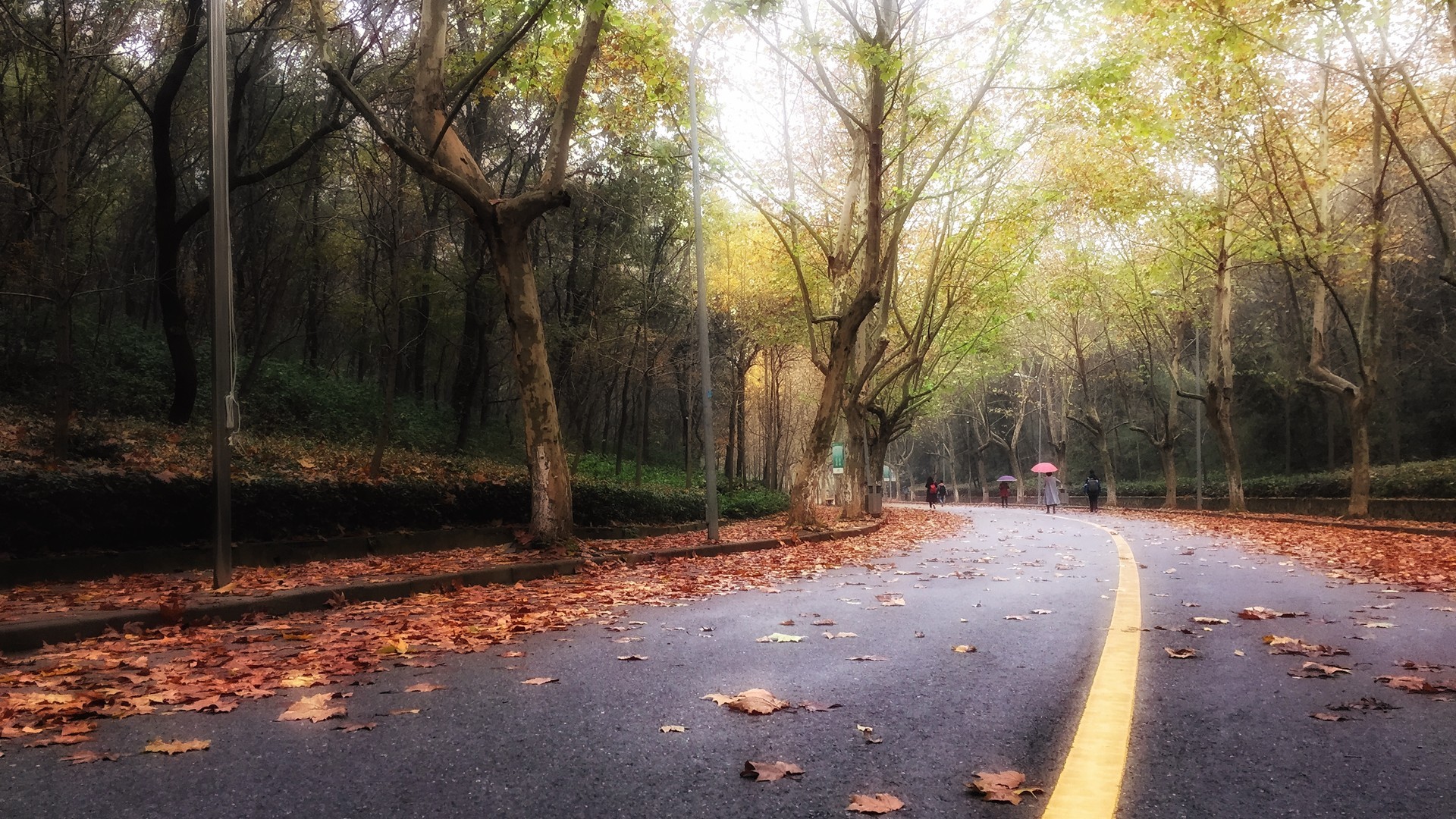 道路