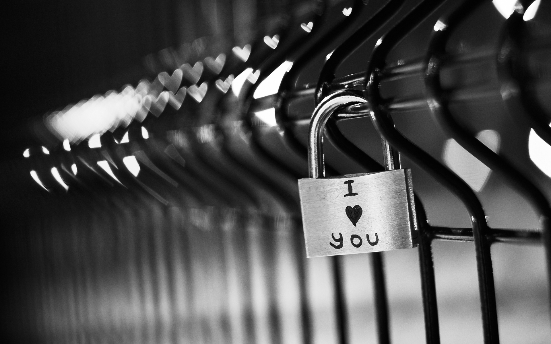 爱情 love 爱情锁 锁住爱情 宽屏