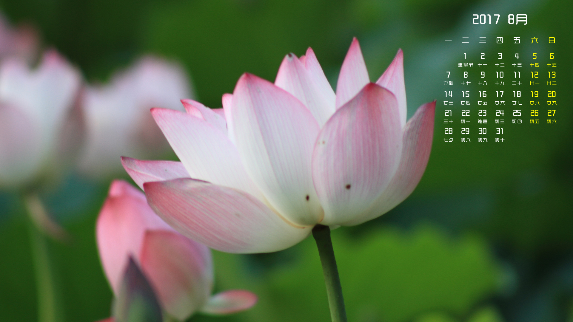 月历 2017年8月