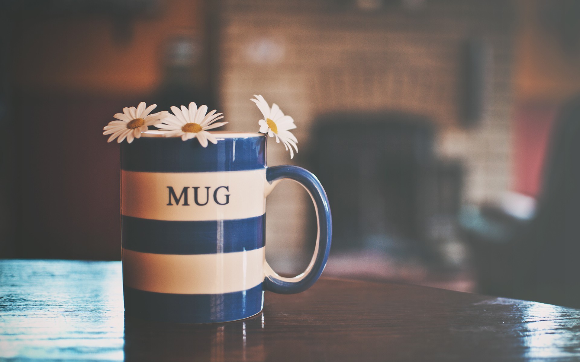 舒缓压力   杯中的小雏菊