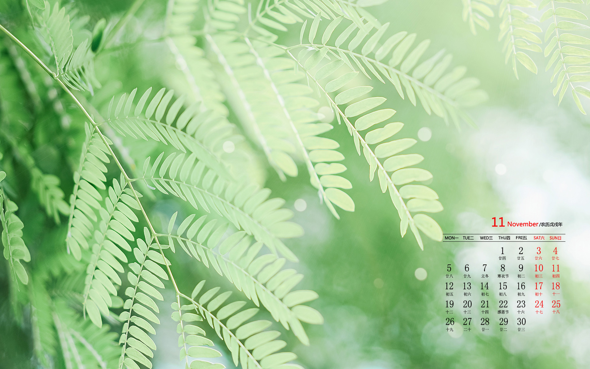 月历壁纸  11月  2018年