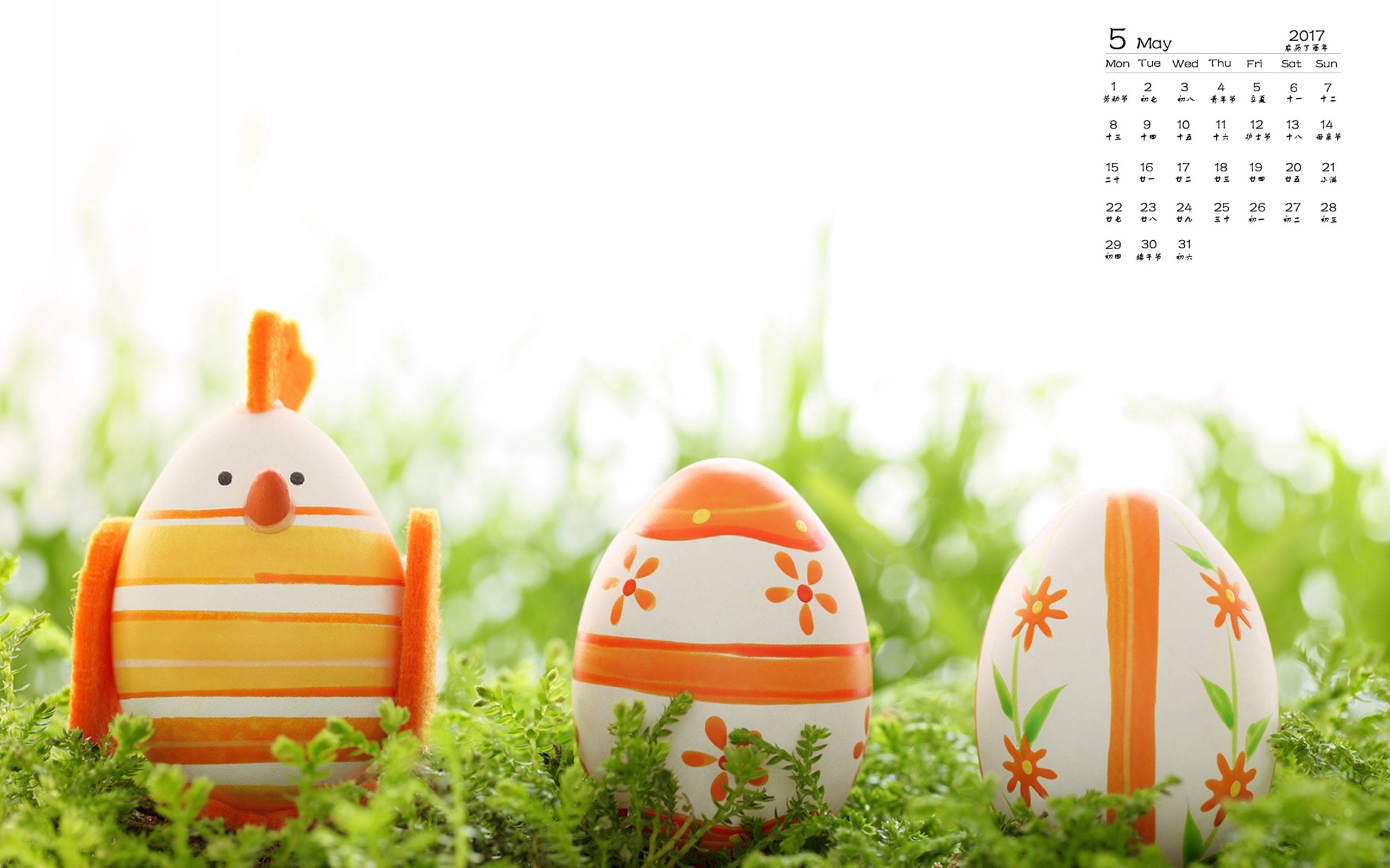 2017年5月 鸡蛋 手绘 草地