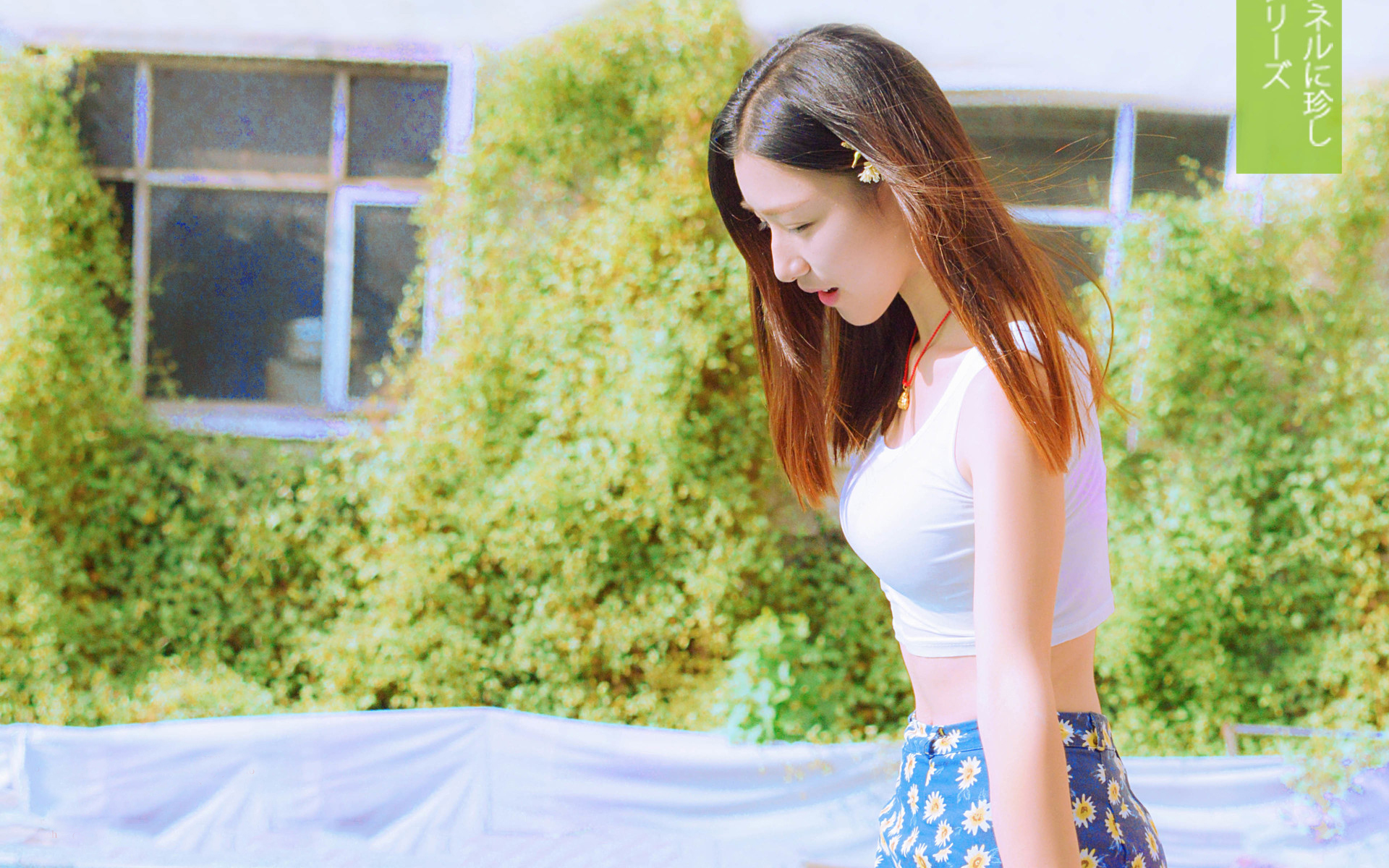 美女 清纯 可爱