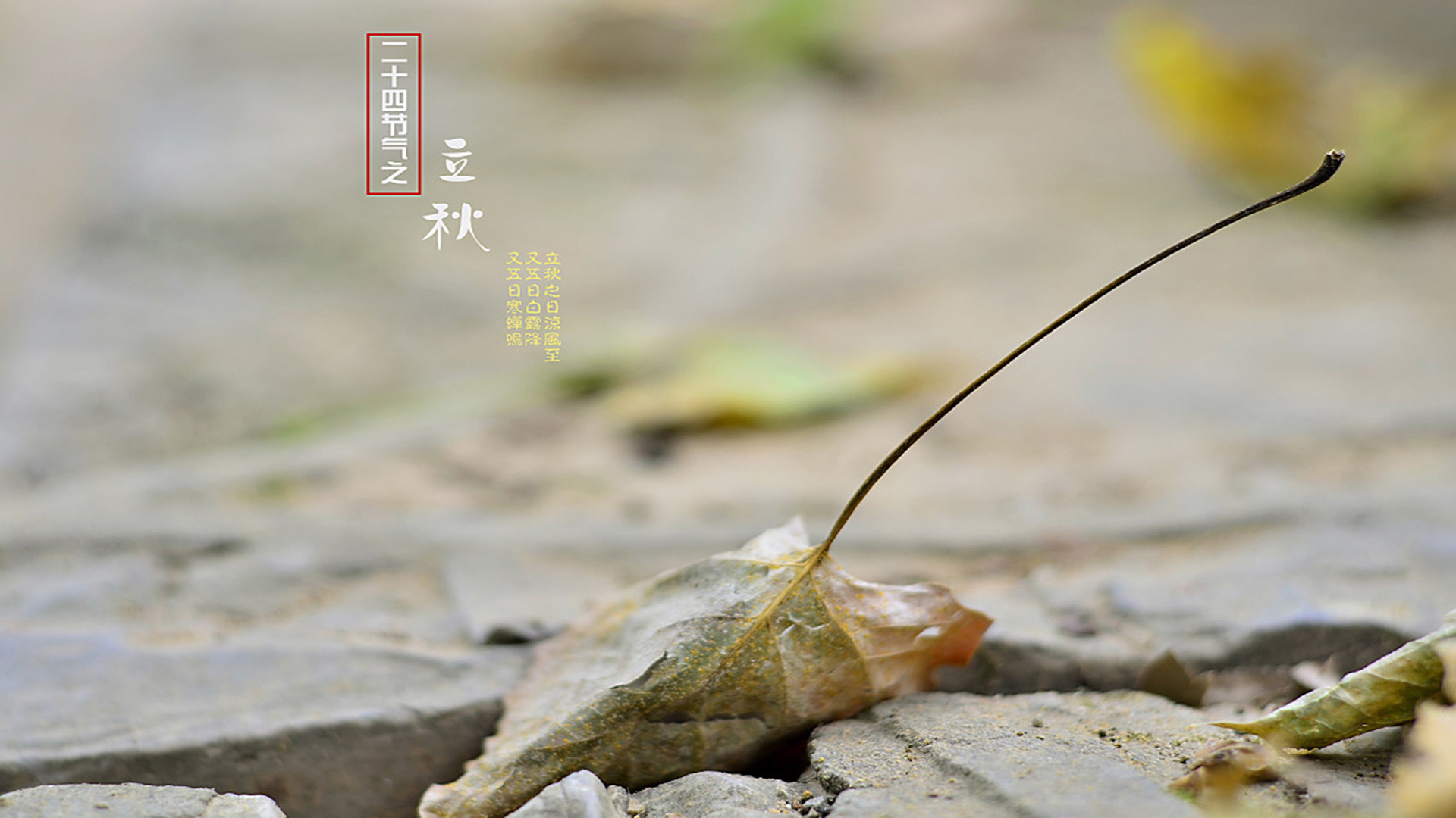 二十四节气 立秋