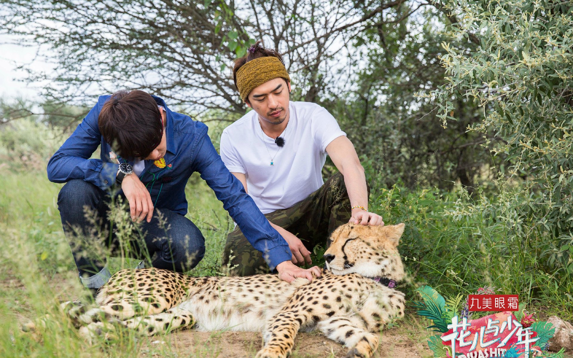 影视 综艺 花儿与少年第三季 陈柏霖