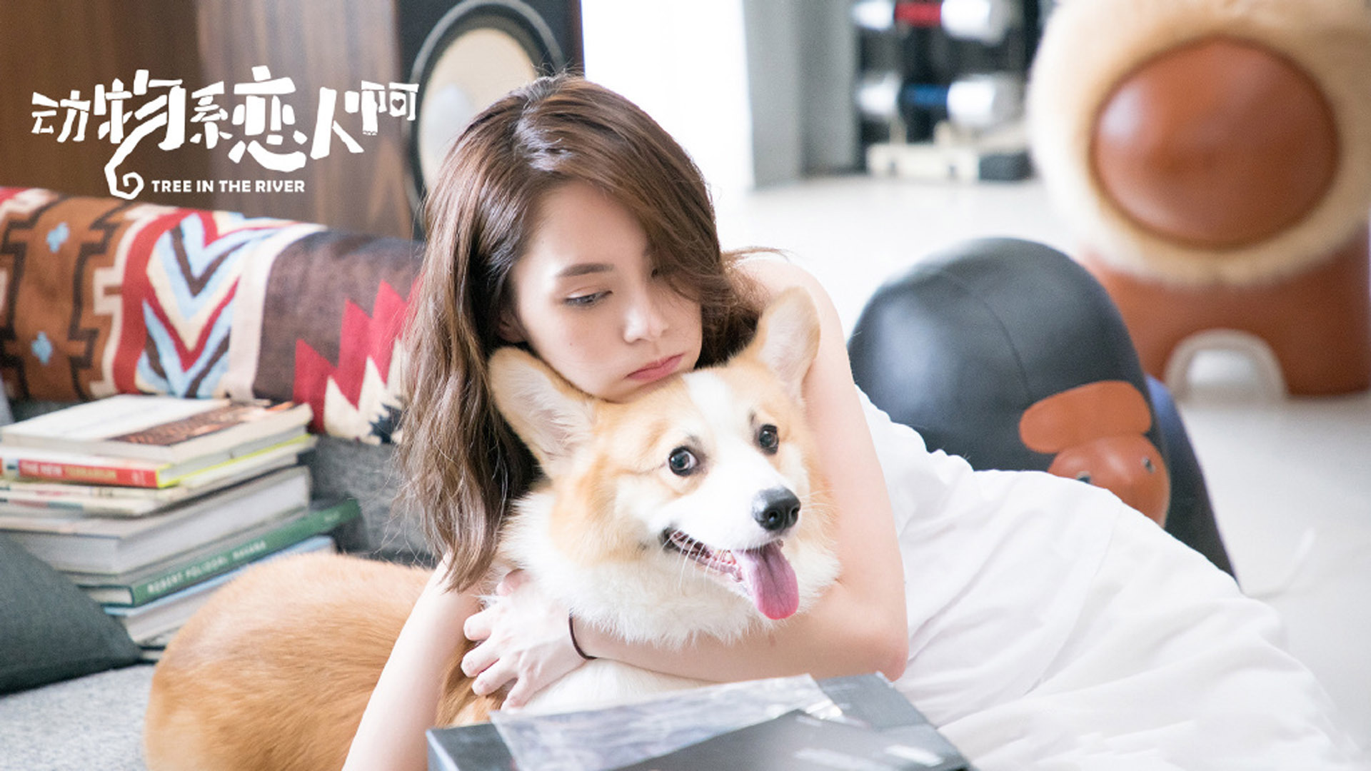 影视 动物系恋人啊