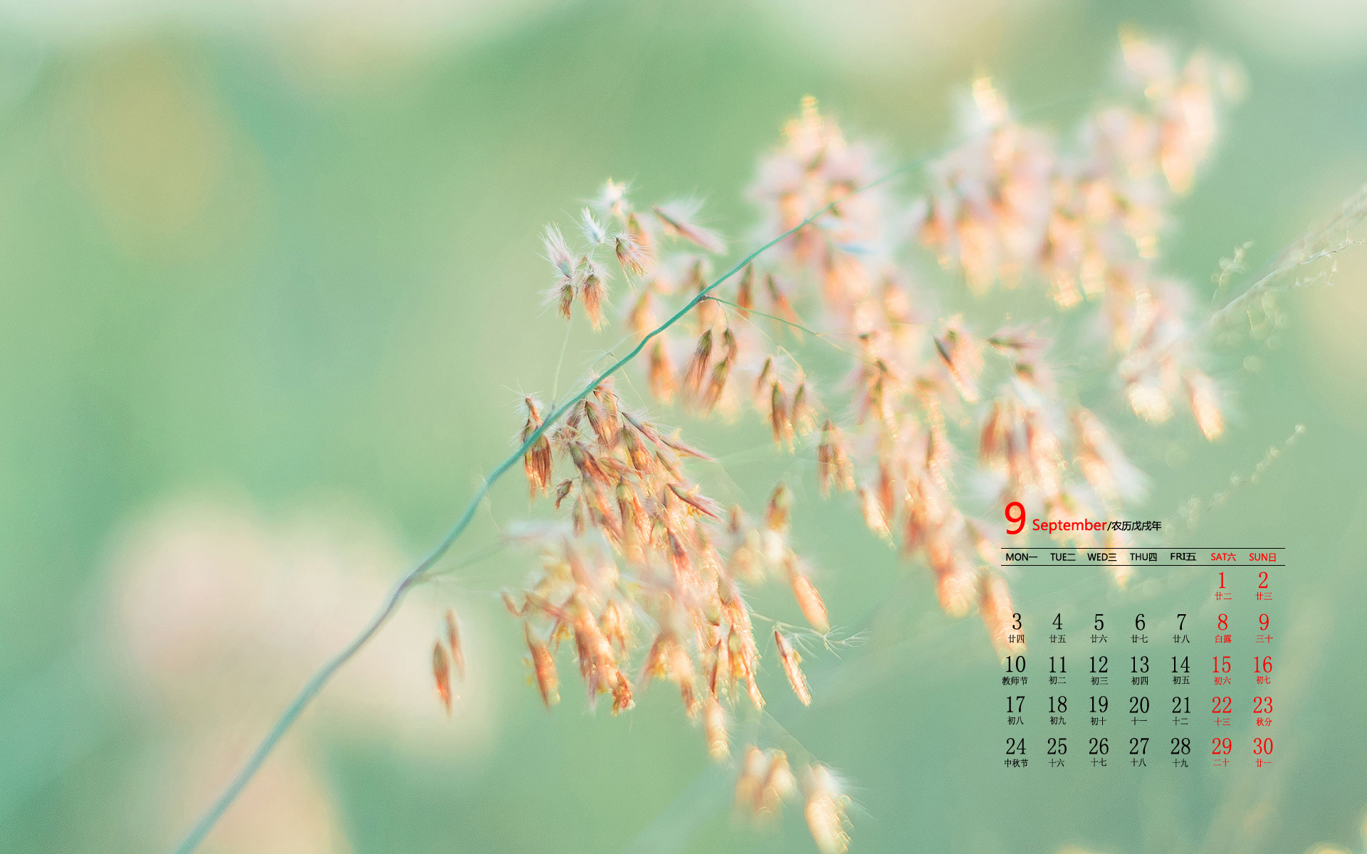 日历  9月  2018年9月