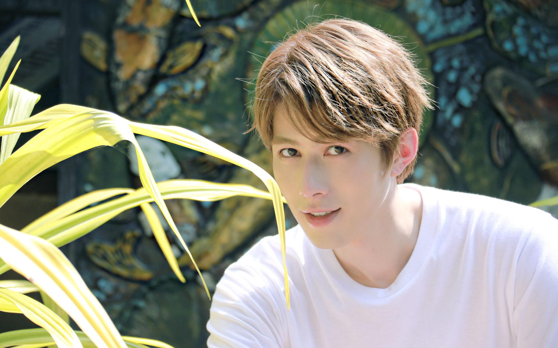 内地明星 陈学冬