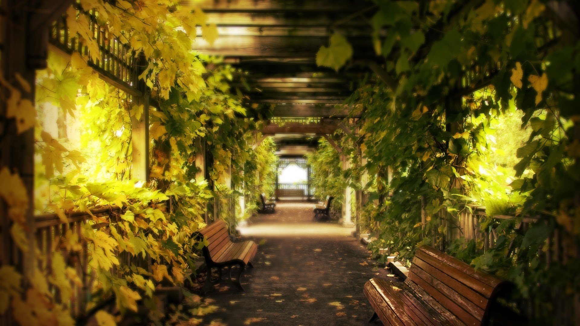 风景 自然风景 阳光明媚 绿色弥漫