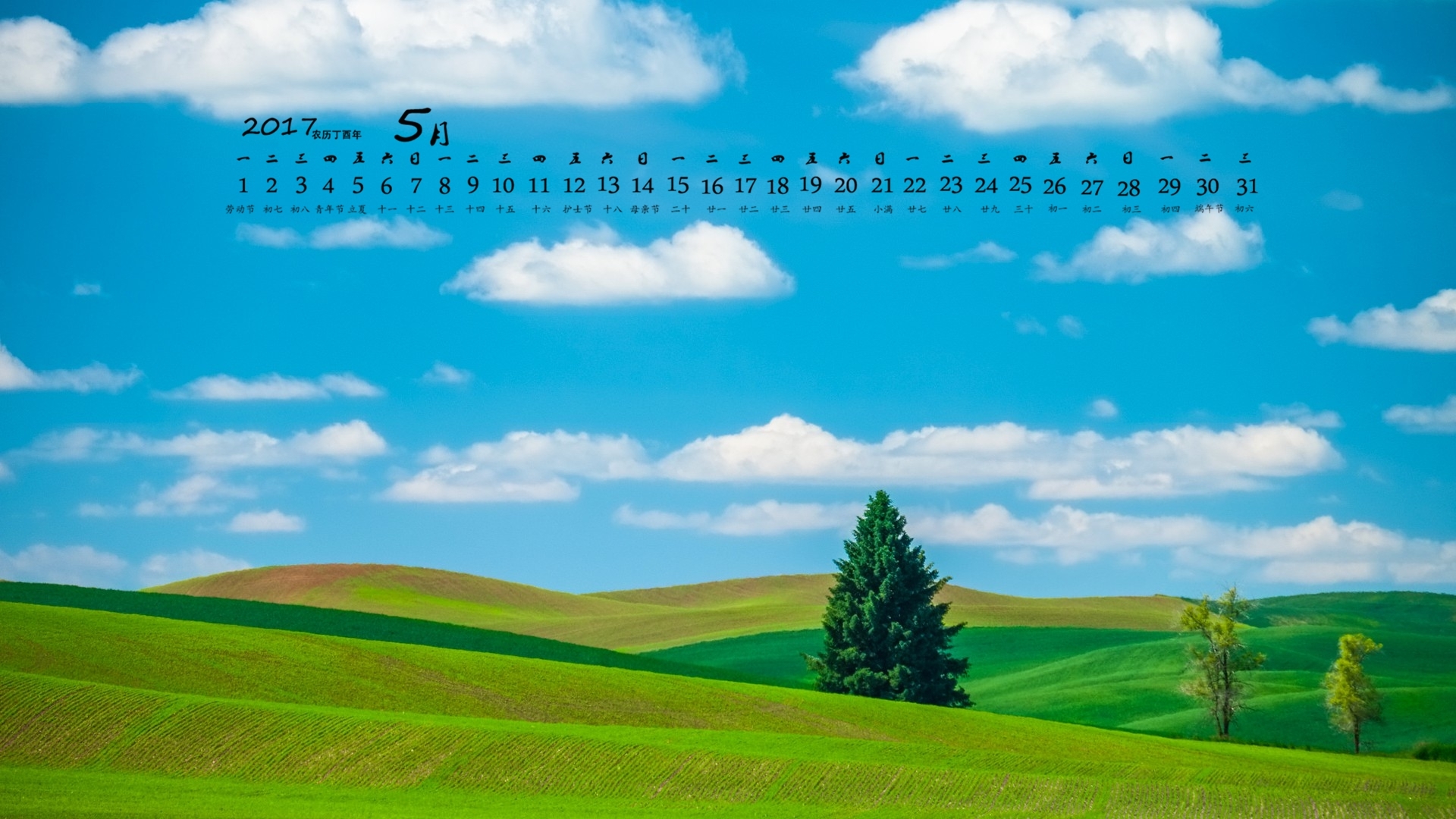 2017年5月 草地 蓝天白云