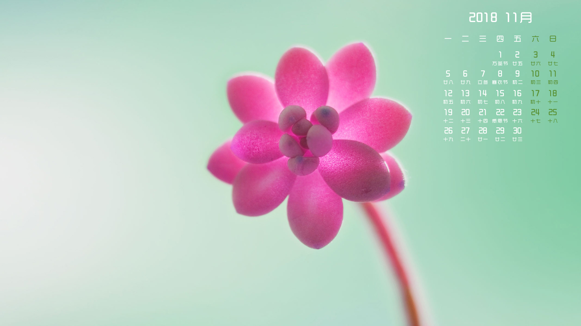 月历壁纸  11月  2018年