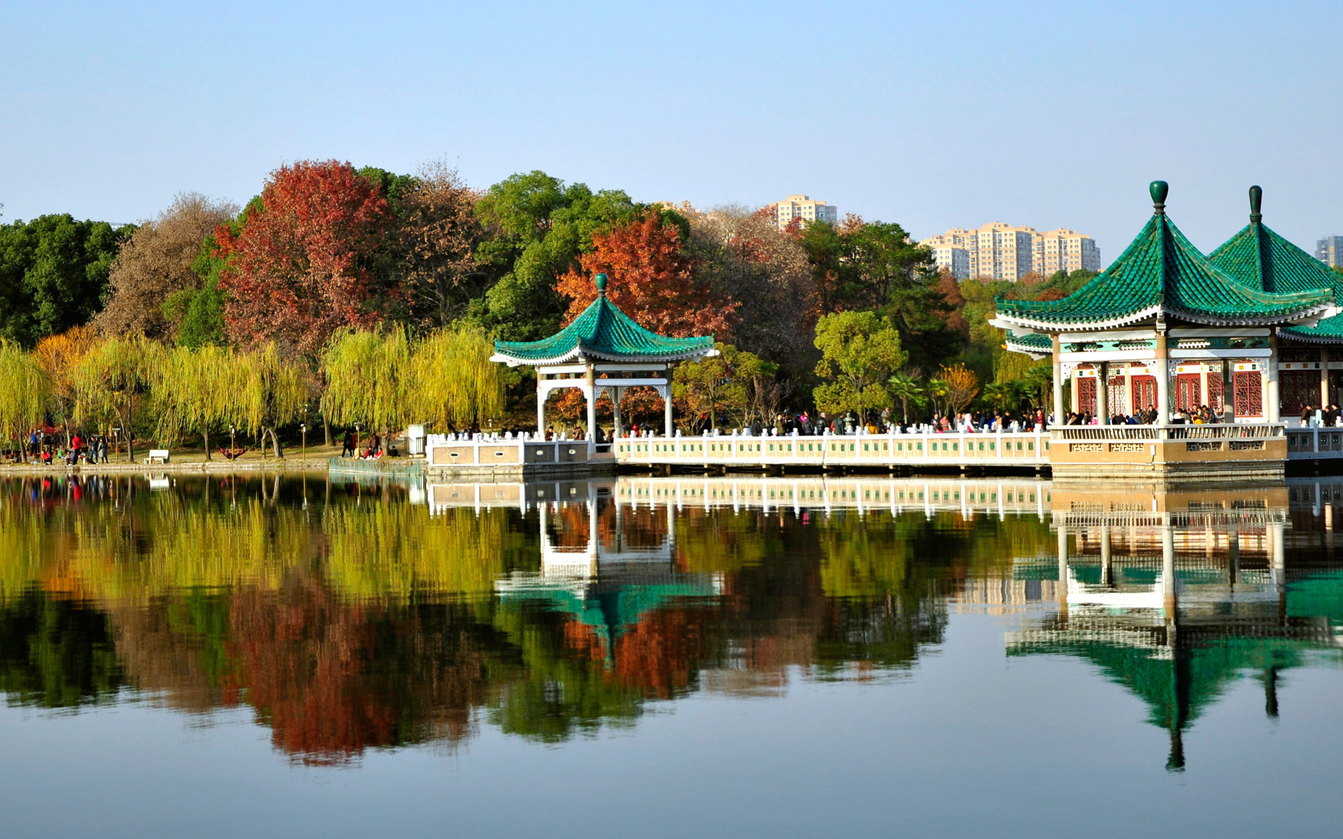 风景 武汉东湖 景色宜人 阳光明媚 宽屏