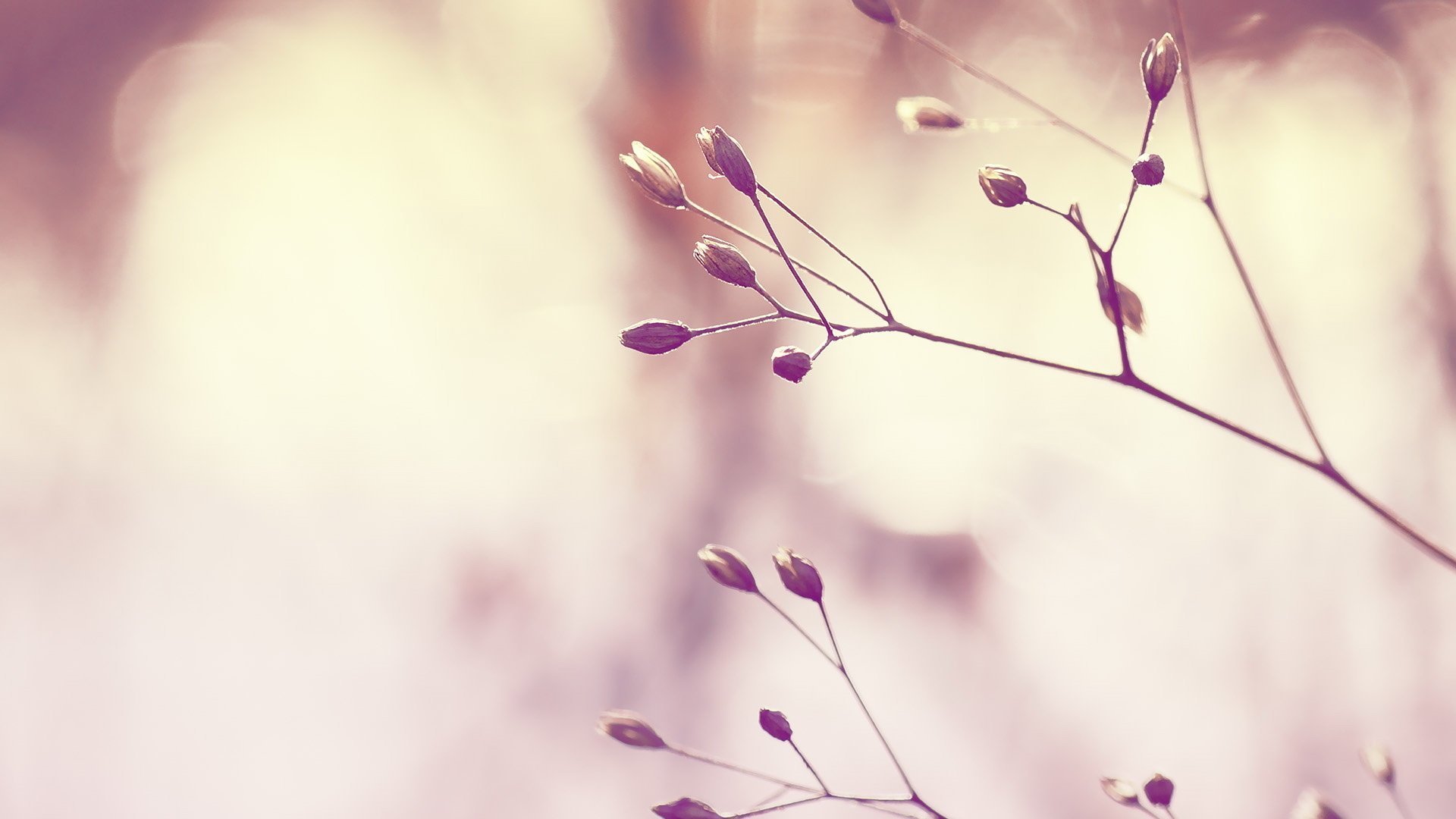 小清新 温馨 解压