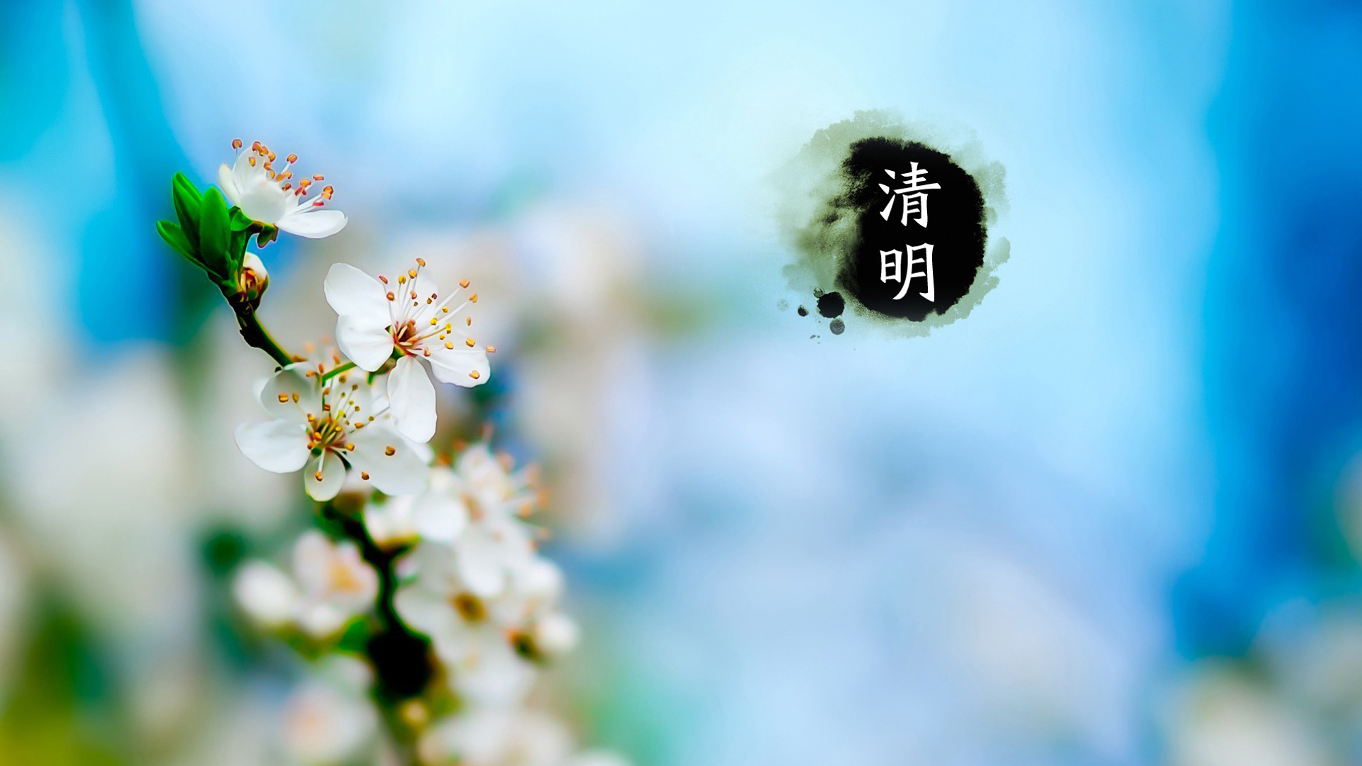 清明节 梨花