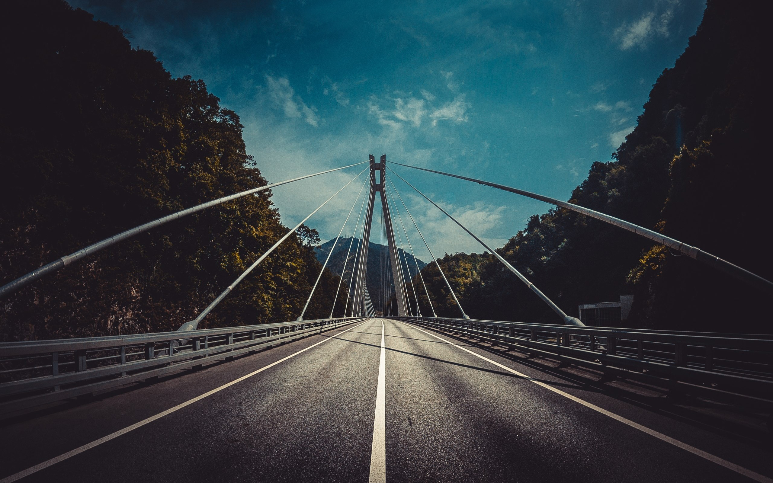 风景 自然风光 道路