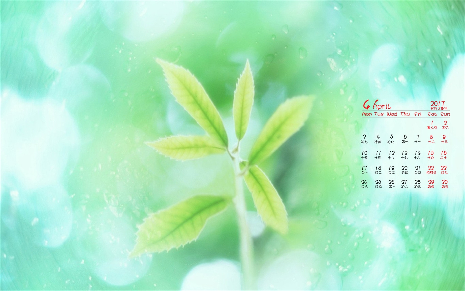 2017年4月 小清新 绿色植物 护眼