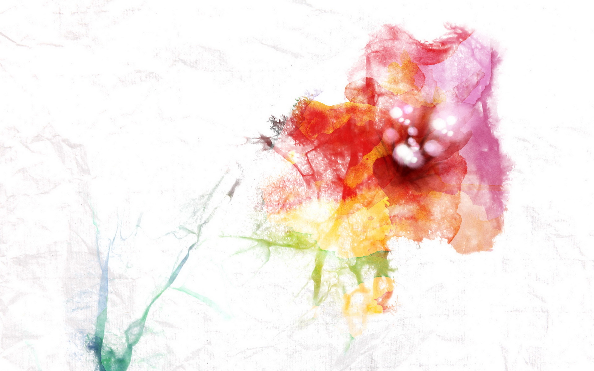 小清新 浪漫 简约 花卉 宽屏