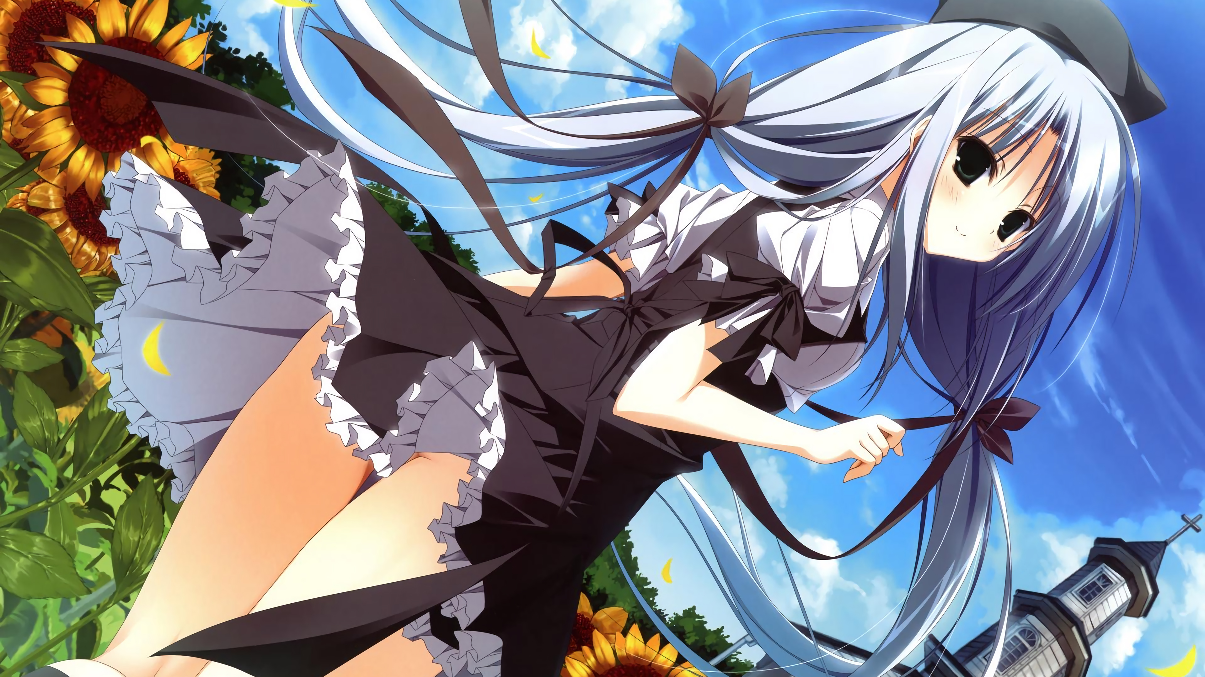 4K 动漫  向日葵