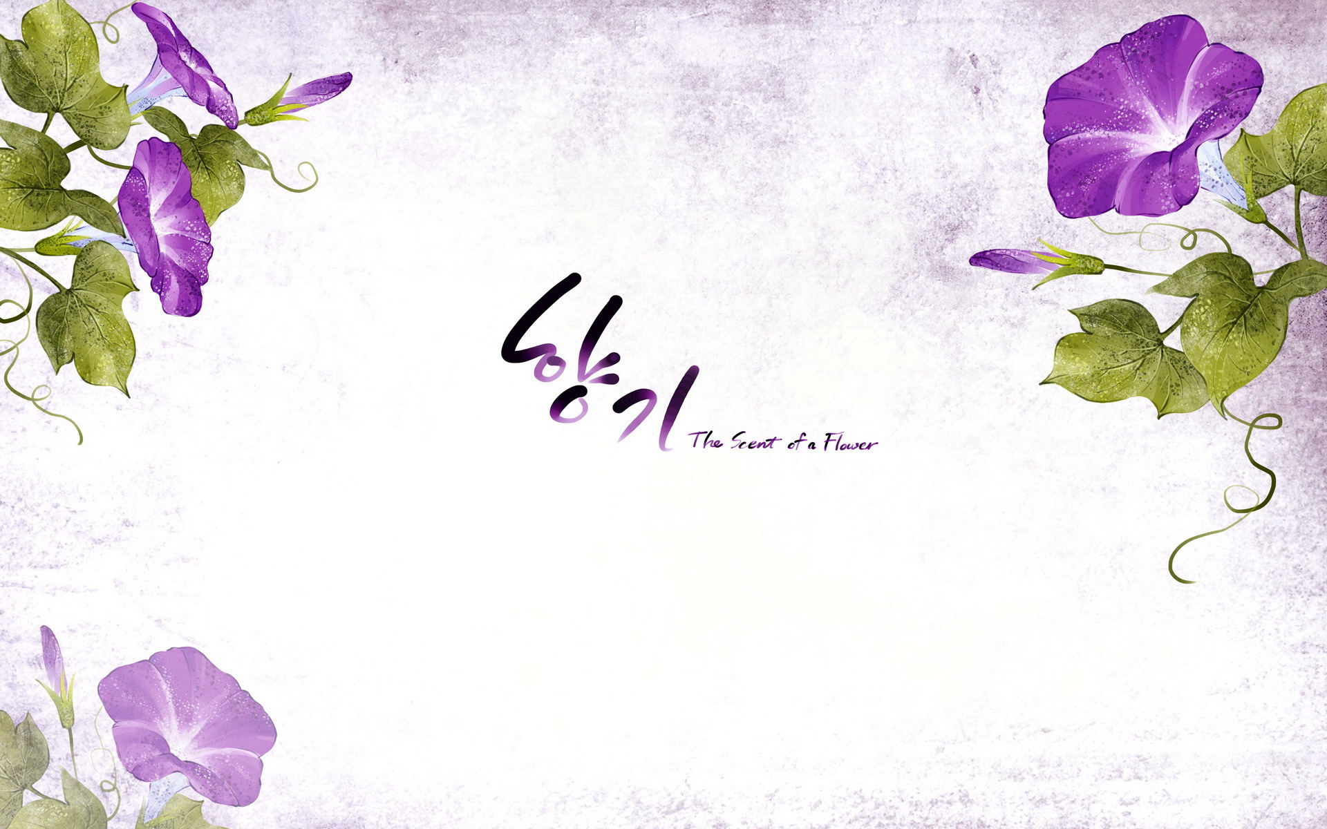 小清新  浪漫   简约  花卉   宽屏