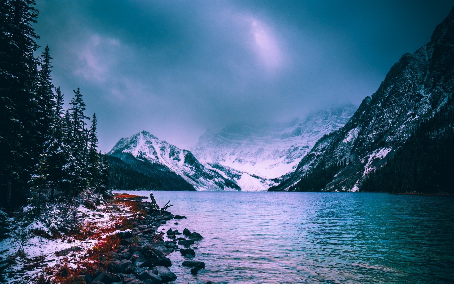 冰天雪地  冬季  唯美  雪景