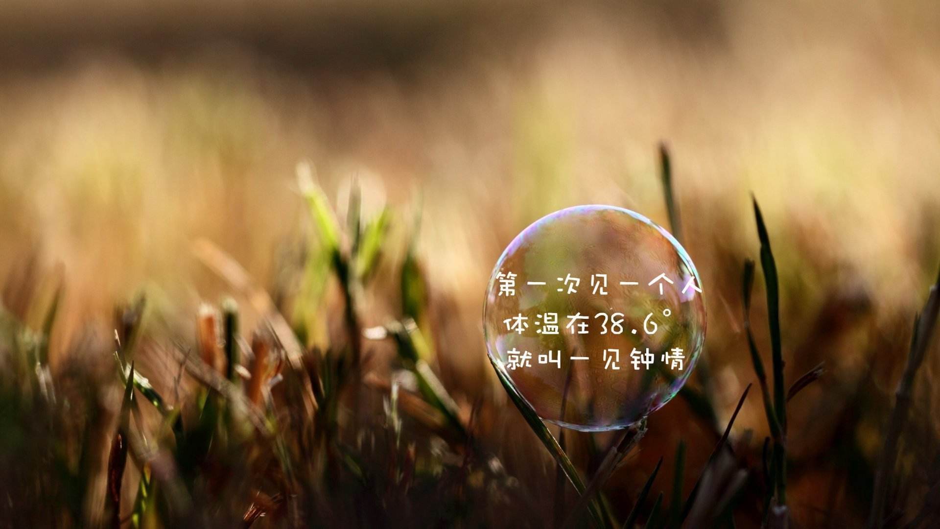 文字 气泡 一见钟情