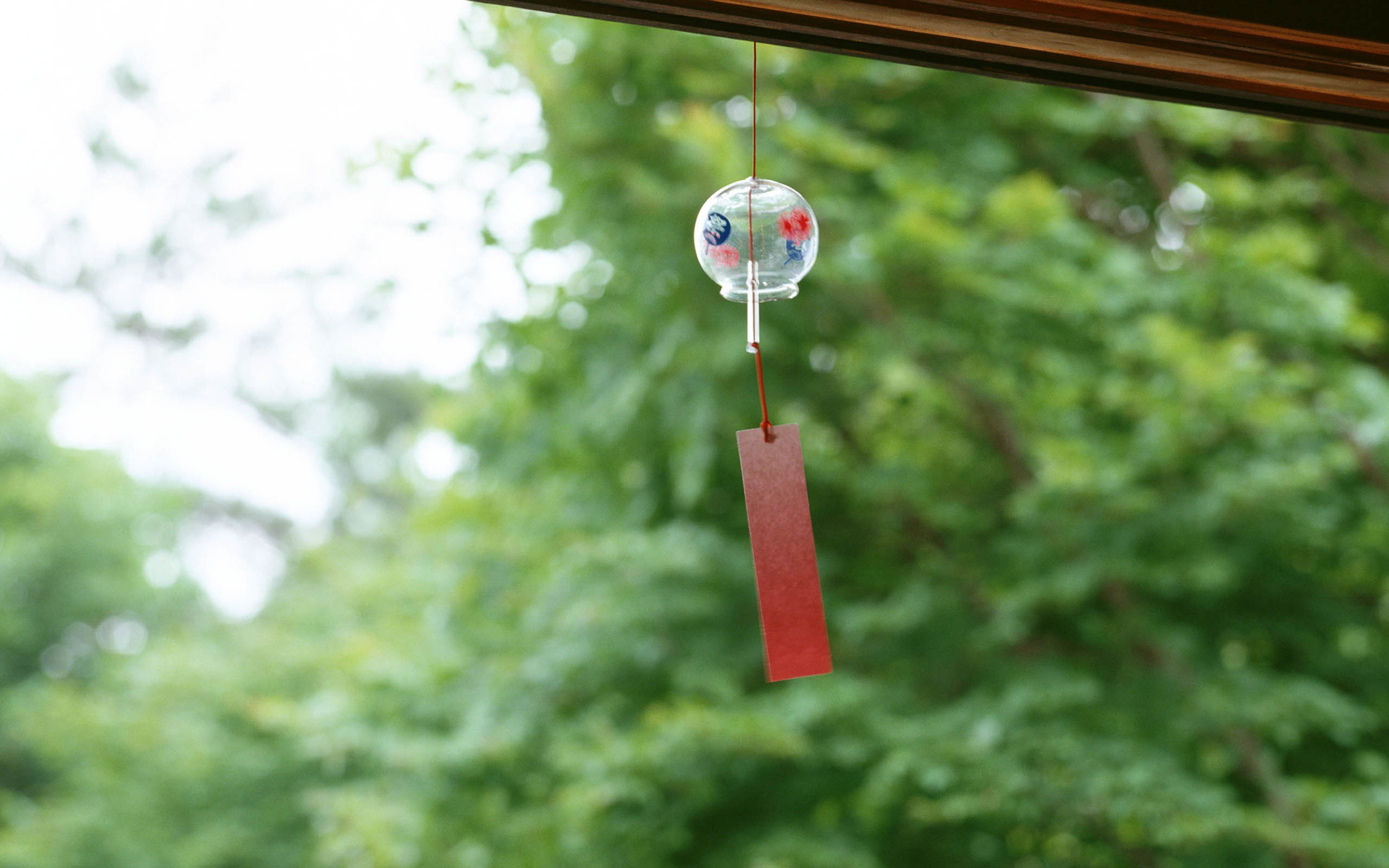 小清新 清新 可爱 宽屏