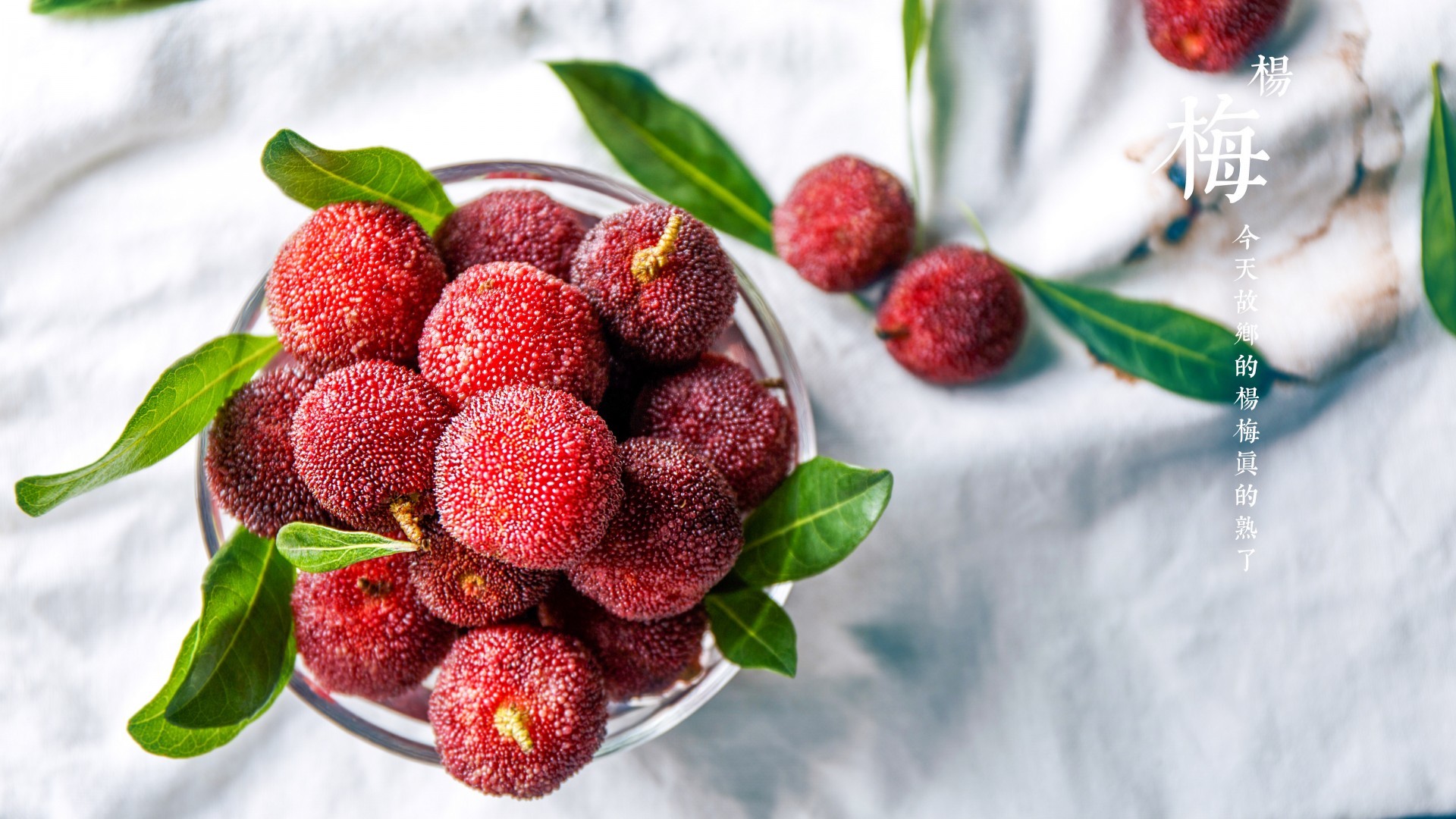 小清新 动感水果 杨梅