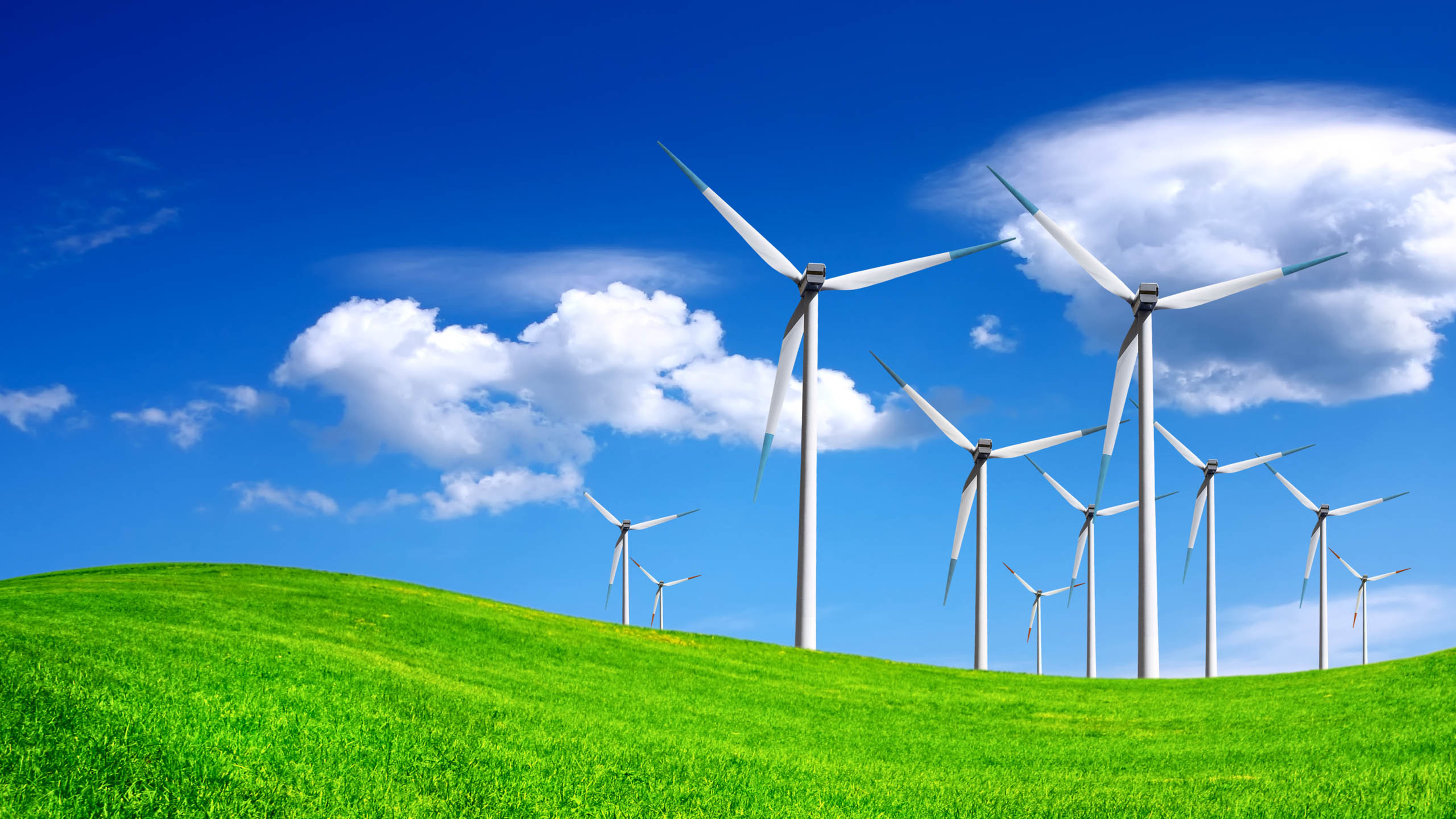 风车 草地 蓝天 白云